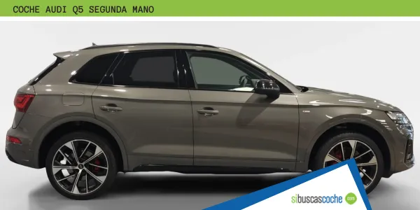 Audi Q5 de segunda mano en Sibuscascoche.com