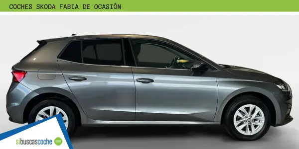 Skoda de segunda mano en Quintela Canedo