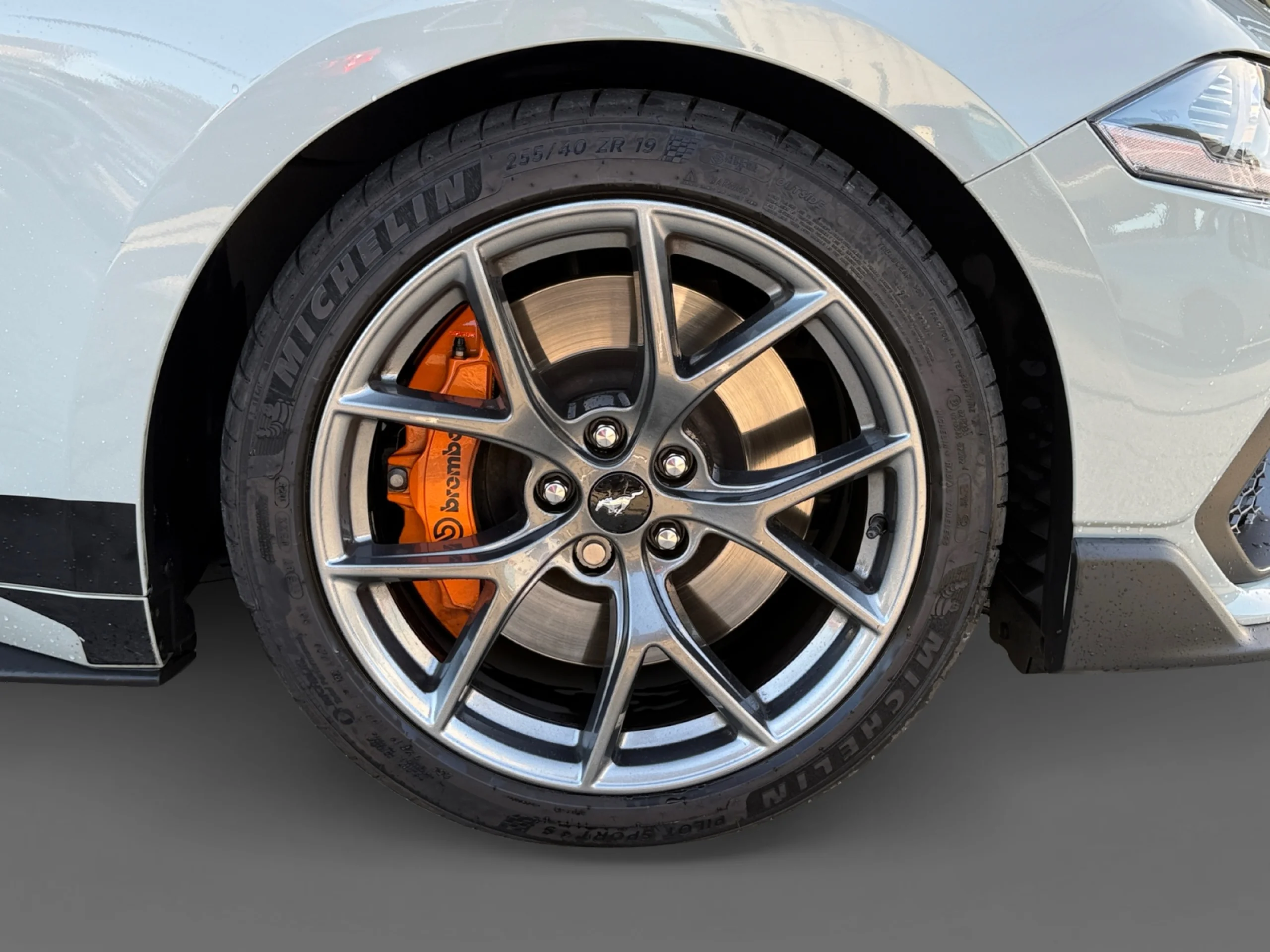 FORD MUSTANG 5.0 TI VCT V8 331KW MUSTANG GT (FASTB.) - Foto 8