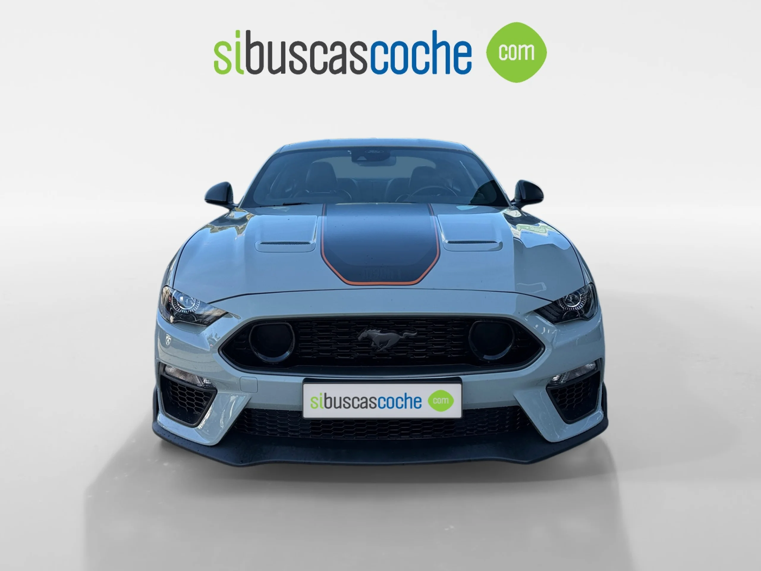 FORD MUSTANG 5.0 TI VCT V8 331KW MUSTANG GT (FASTB.) - Foto 12