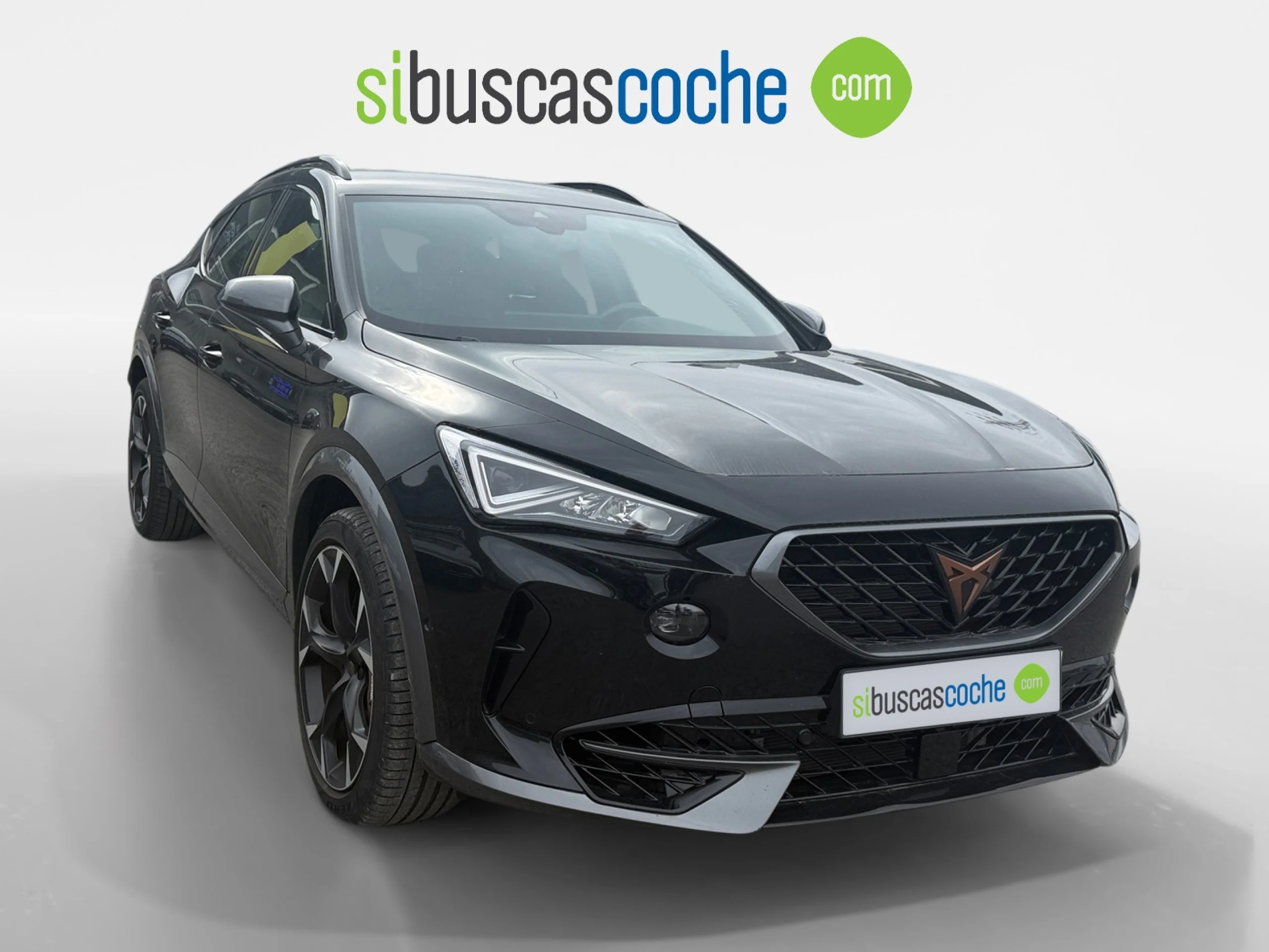 CUPRA FORMENTOR 2.0 TSI 228KW (310 CV) VZ 4DRIVE DSG - Foto 1