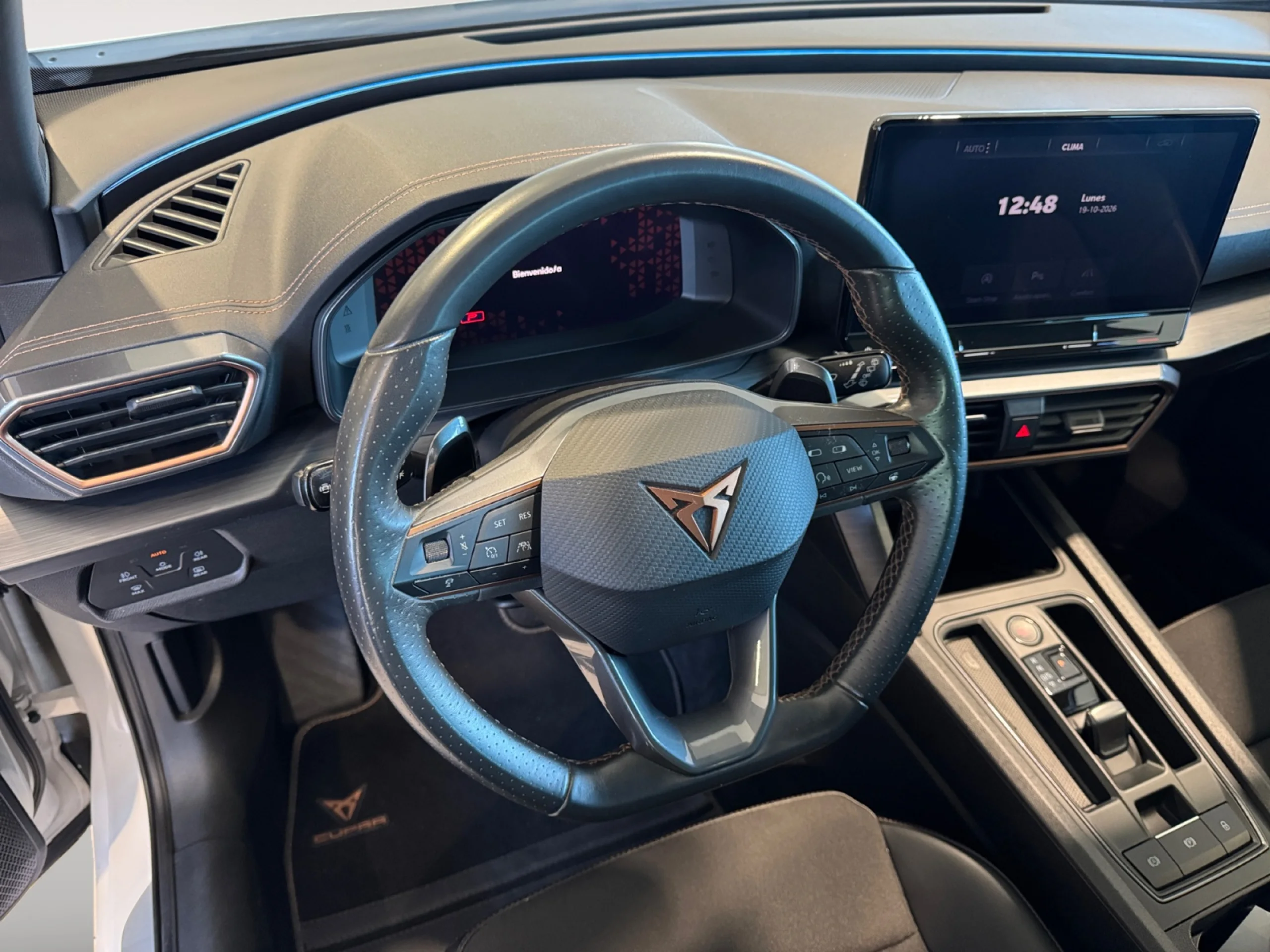 CUPRA FORMENTOR 1.5 TSI 110KW (150 CV) DSG - Foto 7