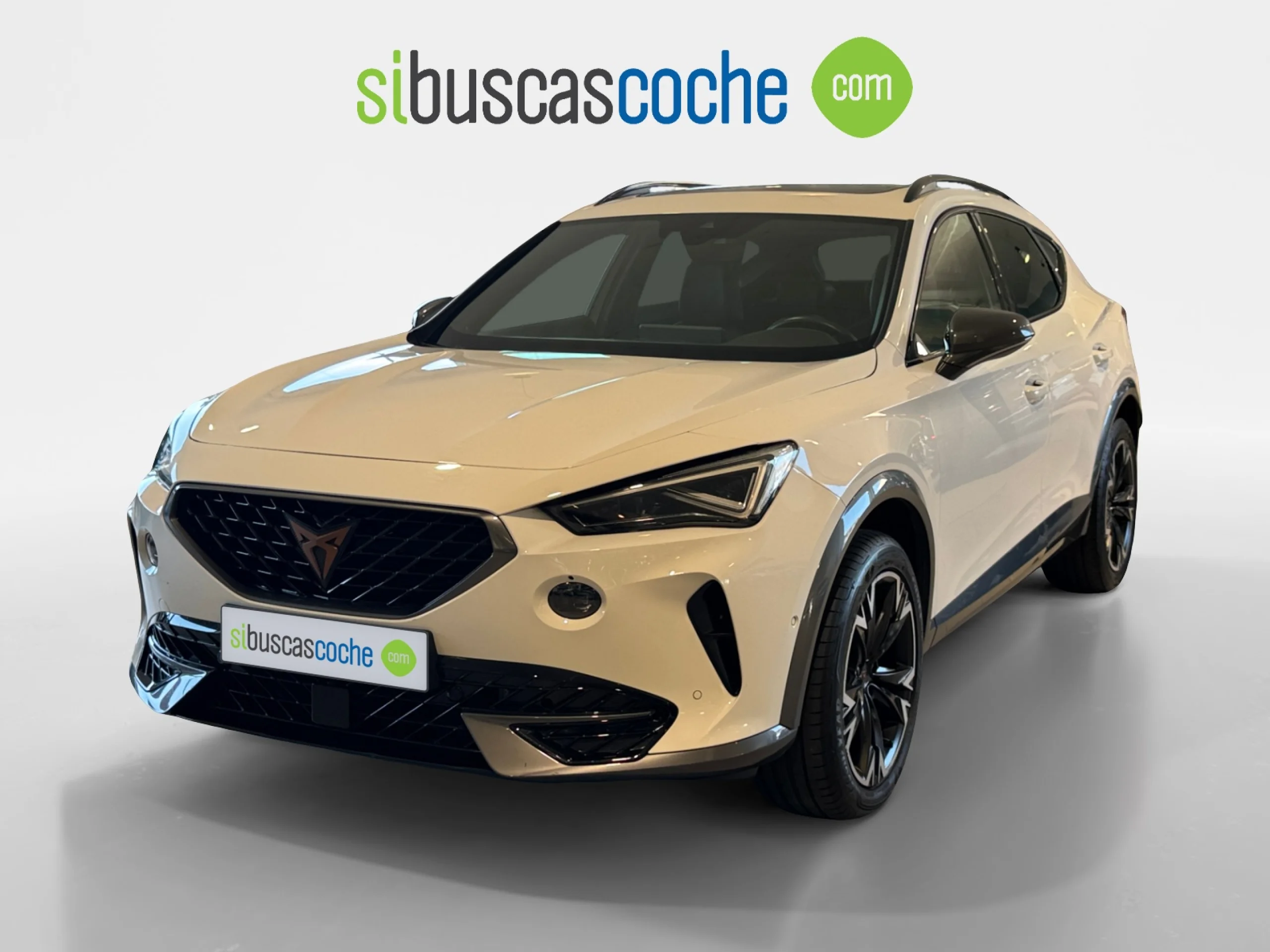 CUPRA FORMENTOR 1.5 TSI 110KW (150 CV) DSG - Foto 15