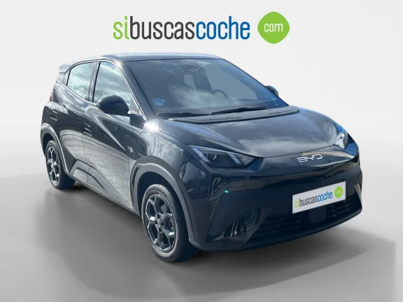 BYD DOLPHIN SURF BOOST