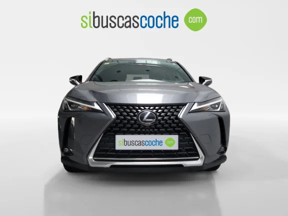 Lexus UX 2.0 250H BUSINESS