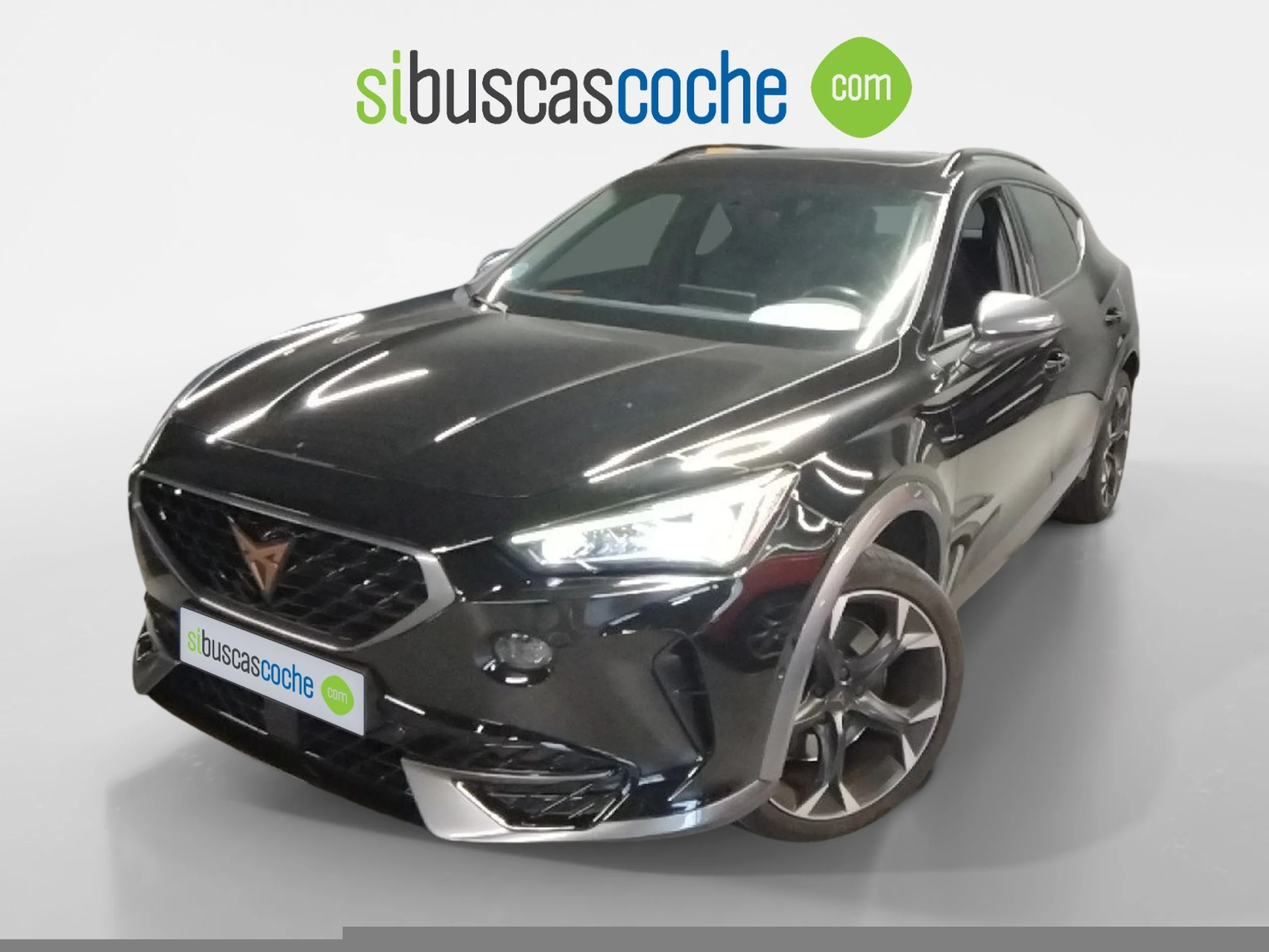 CUPRA FORMENTOR 2.0 TSI 228KW (310 CV) VZ 4DRIVE DSG - Foto 4