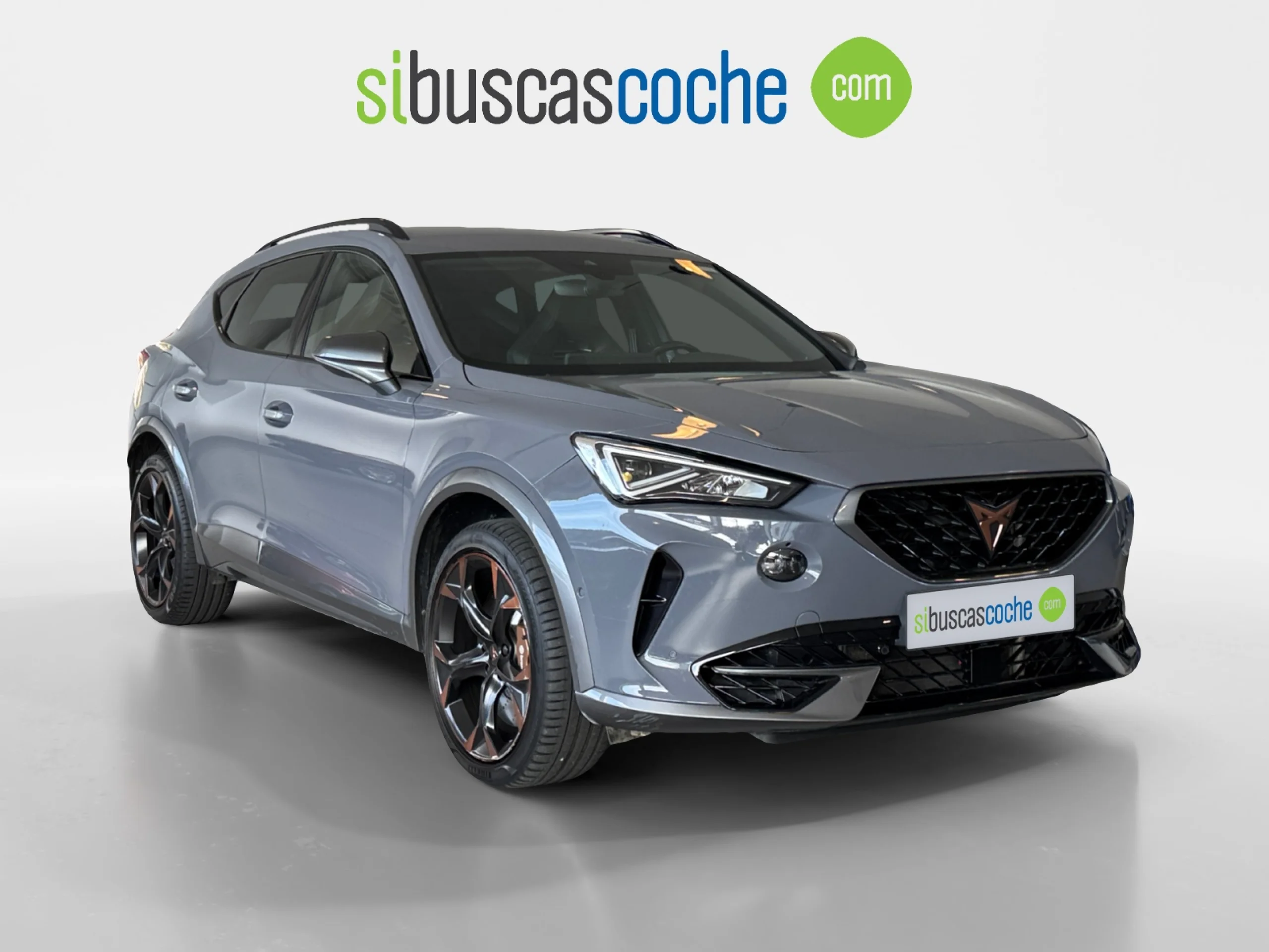 CUPRA FORMENTOR 2.0 TSI 228KW (310 CV) VZ 4DRIVE DSG - Foto 1