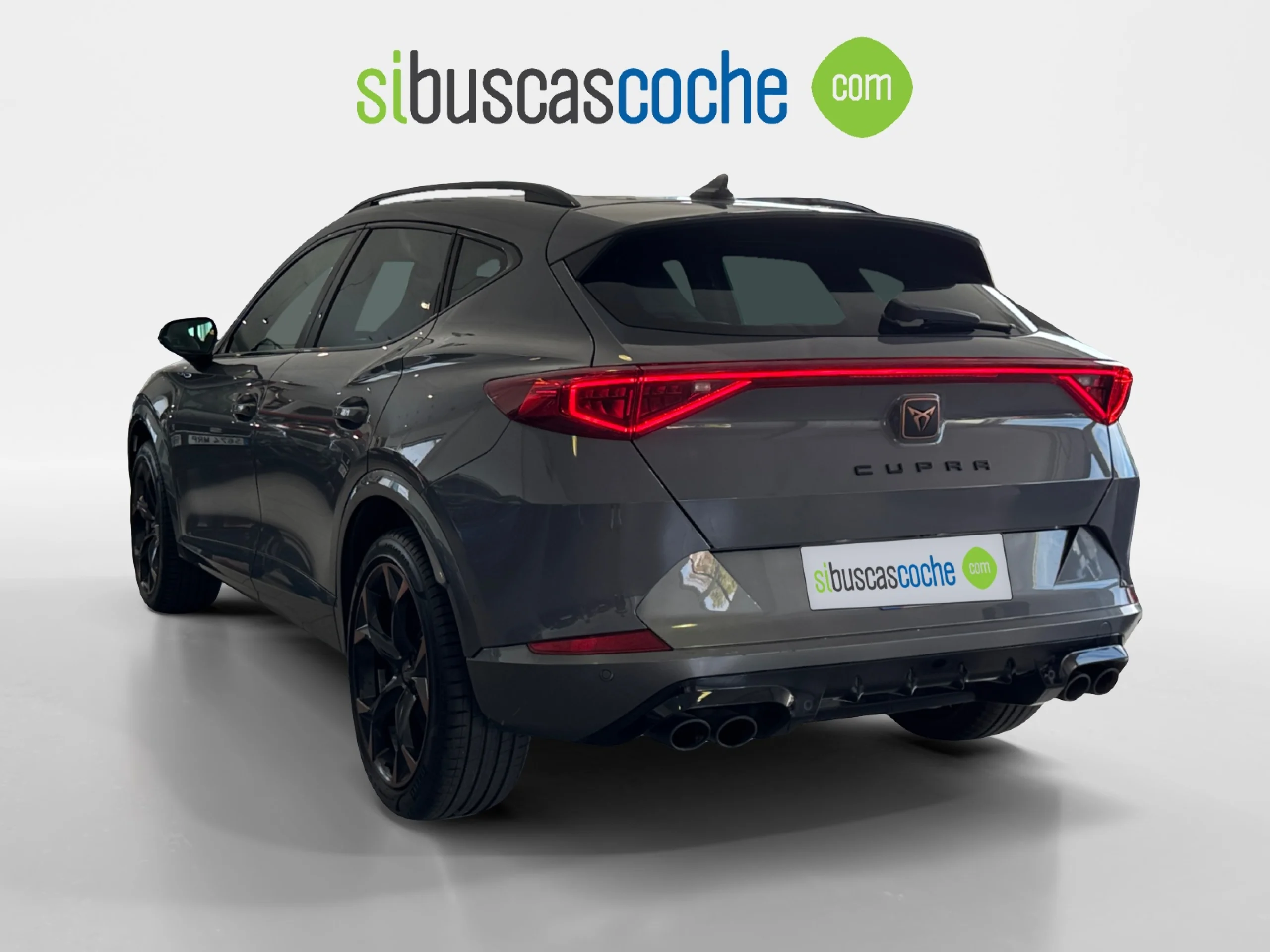 CUPRA FORMENTOR 2.0 TSI 228KW (310 CV) VZ 4DRIVE DSG - Foto 2