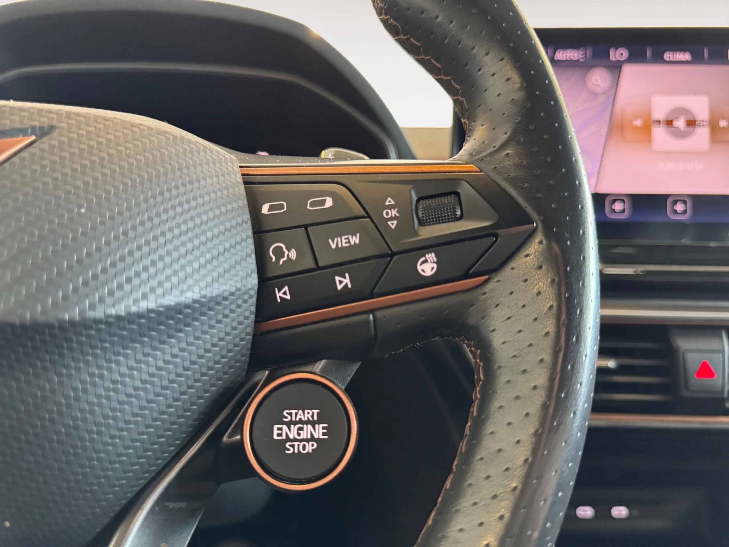 CUPRA FORMENTOR 2.0 TSI 228KW (310 CV) VZ 4DRIVE DSG - Foto 12