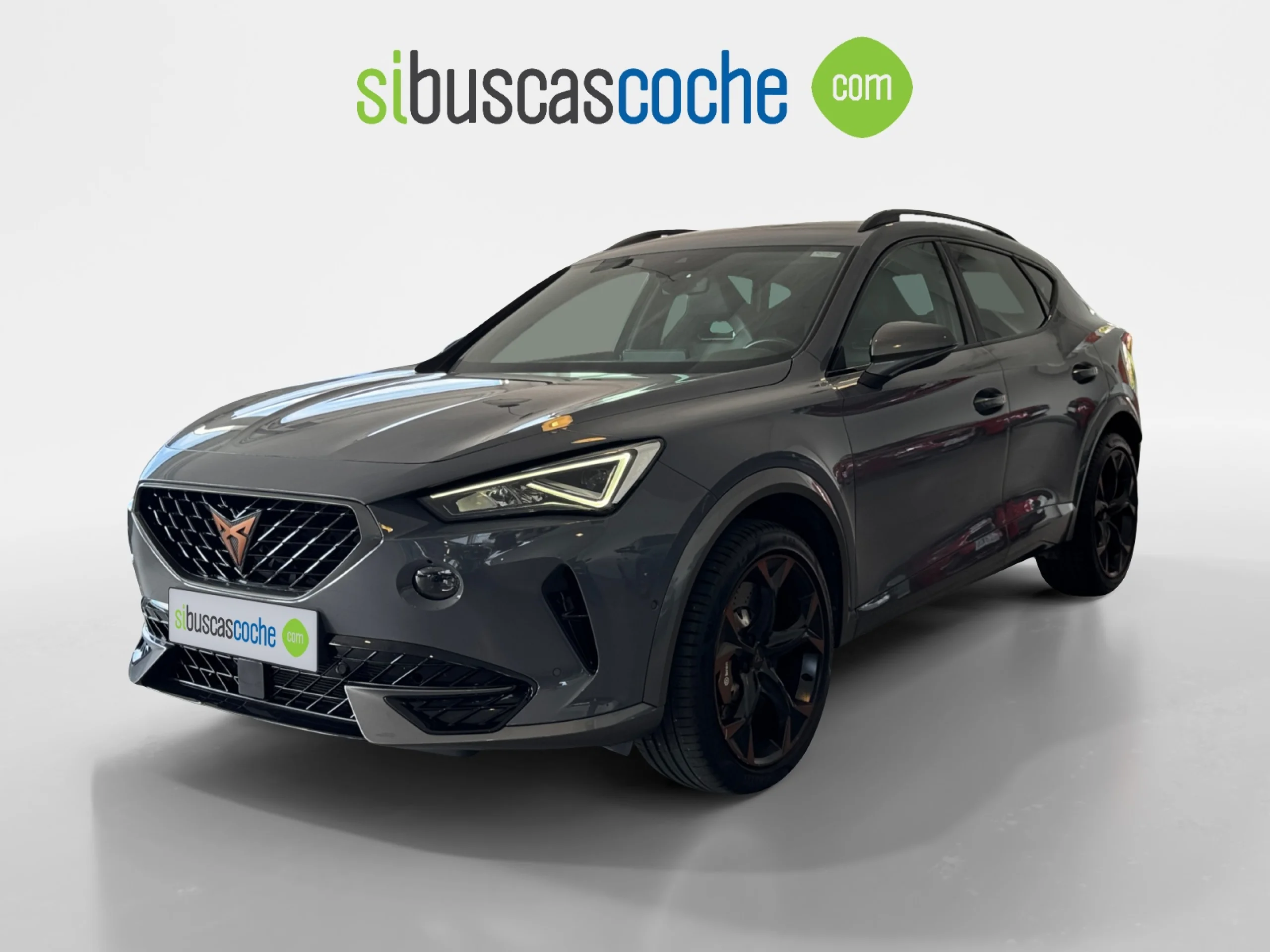 CUPRA FORMENTOR 2.0 TSI 228KW (310 CV) VZ 4DRIVE DSG - Foto 15