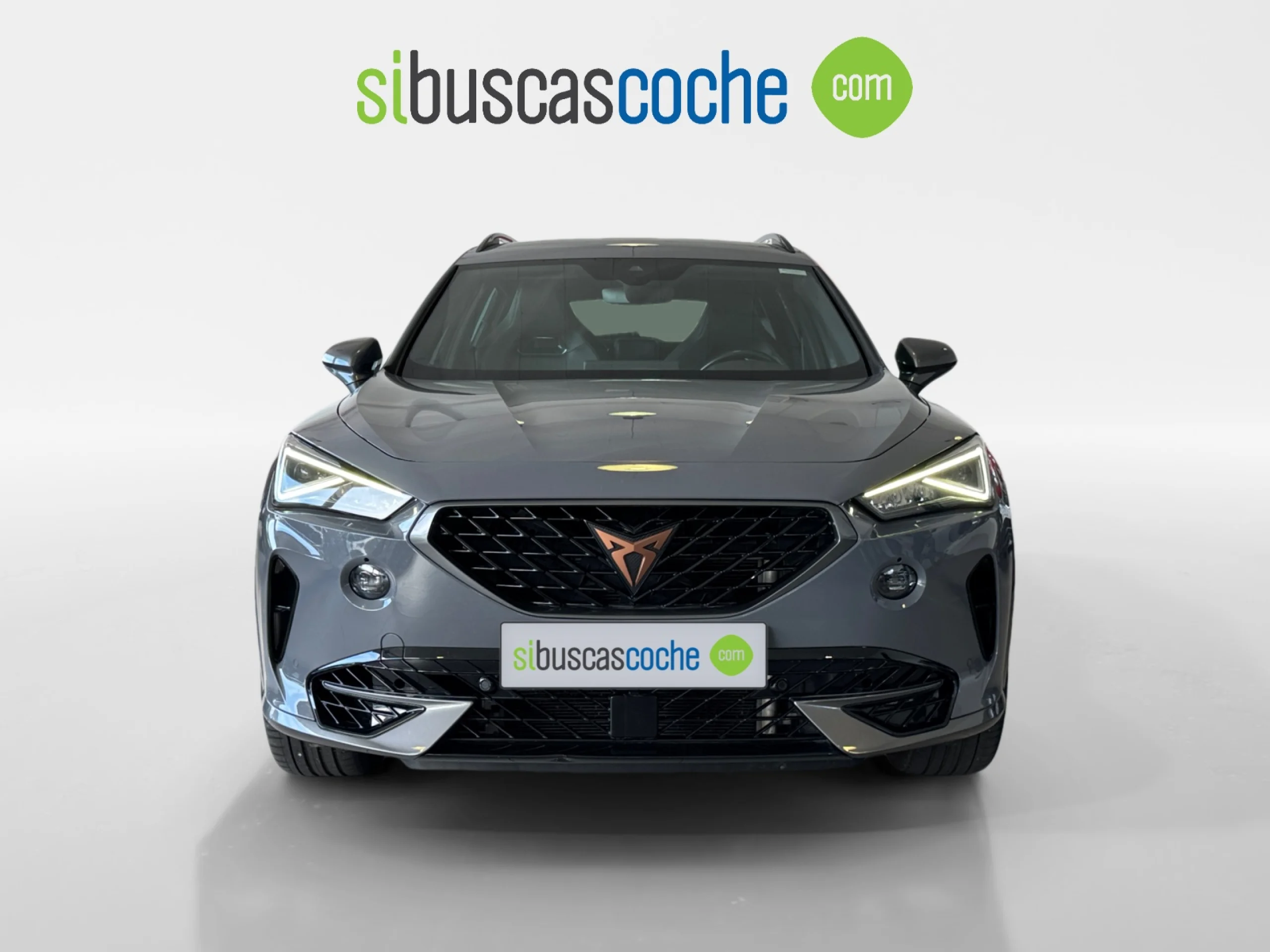 CUPRA FORMENTOR 2.0 TSI 228KW (310 CV) VZ 4DRIVE DSG - Foto 16