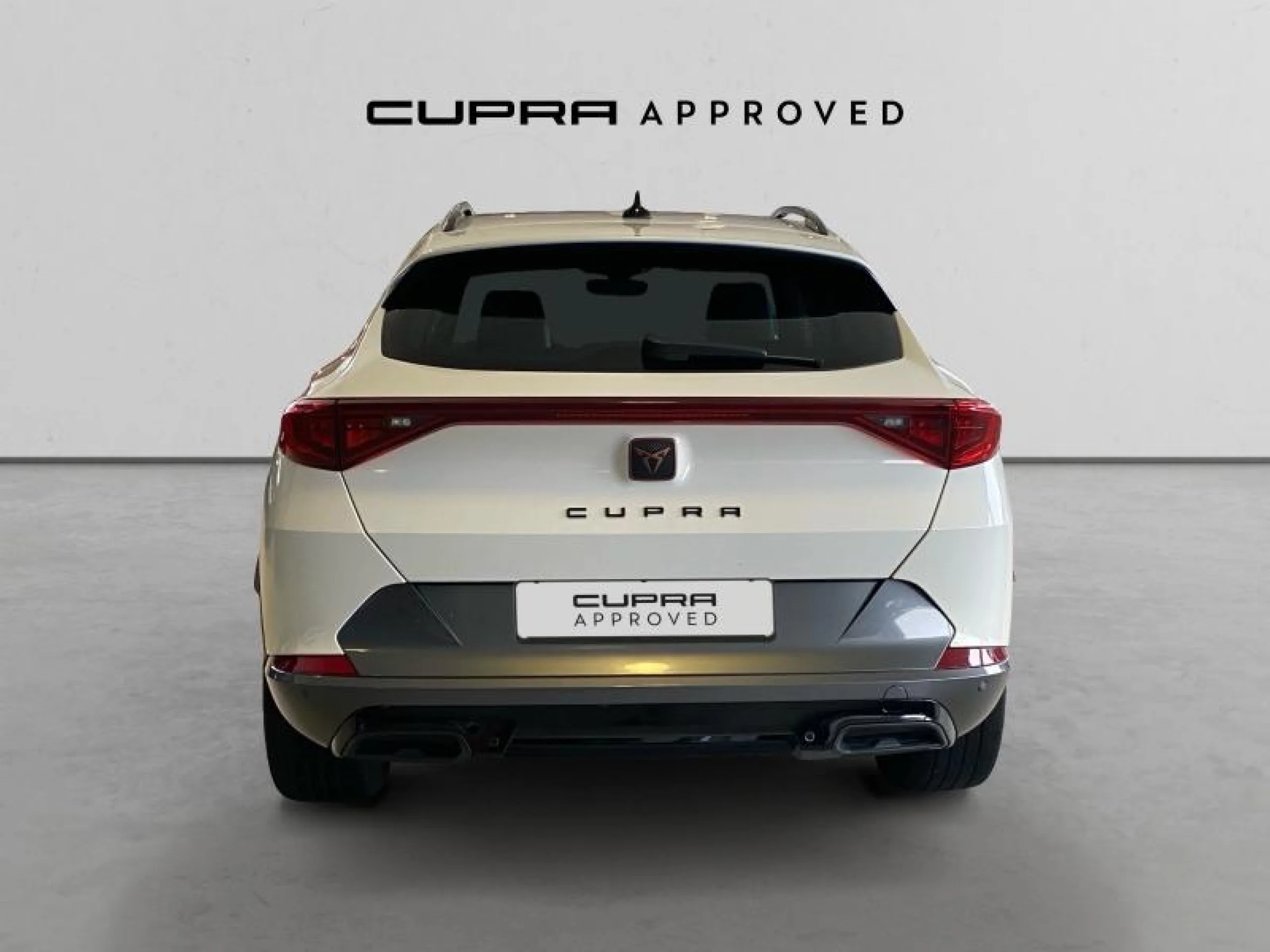 CUPRA FORMENTOR 1.5 TSI 110KW (150 CV) - Foto 1