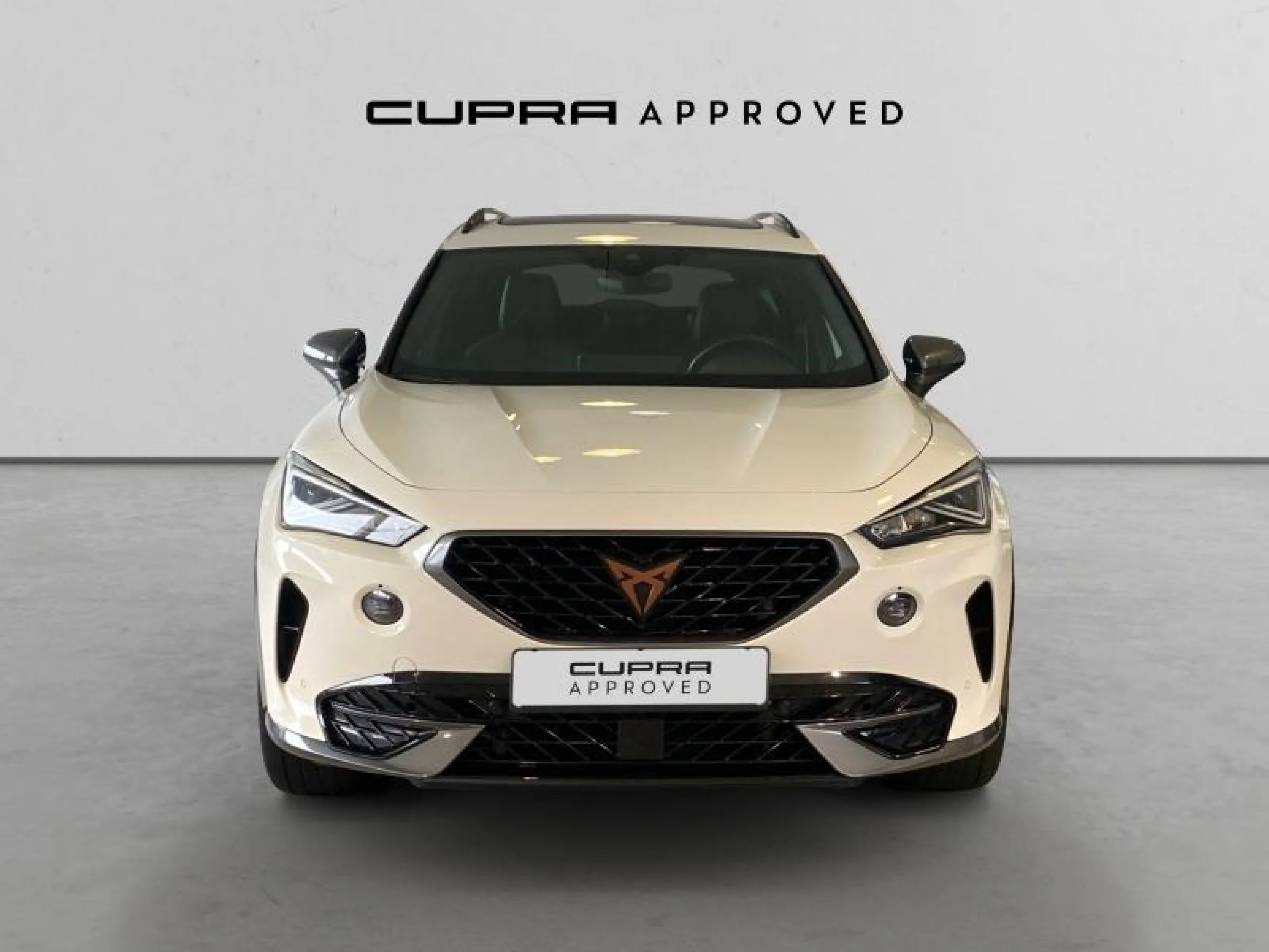 CUPRA FORMENTOR 1.5 TSI 110KW (150 CV) - Foto 3