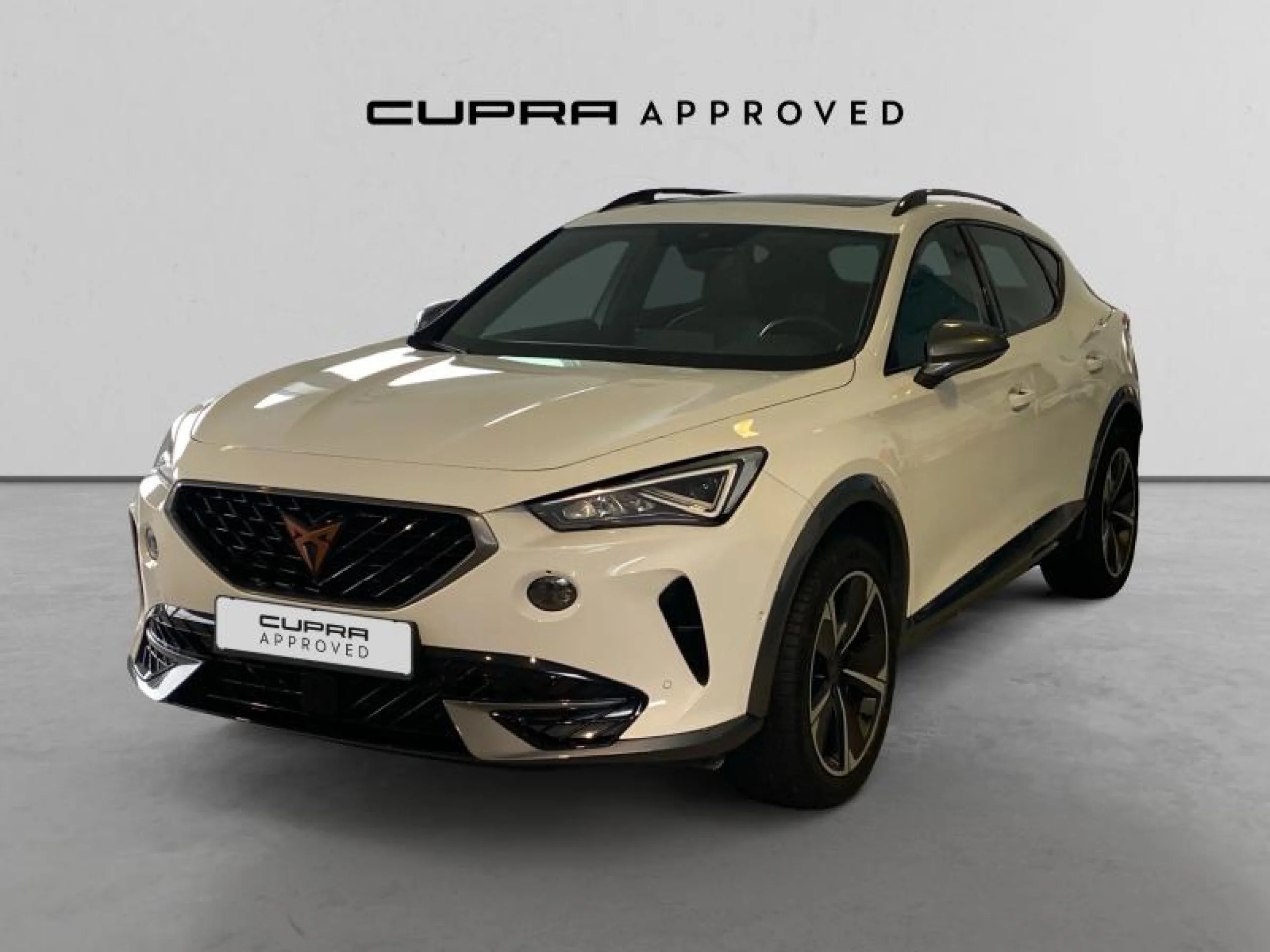 CUPRA FORMENTOR 1.5 TSI 110KW (150 CV) - Foto 5