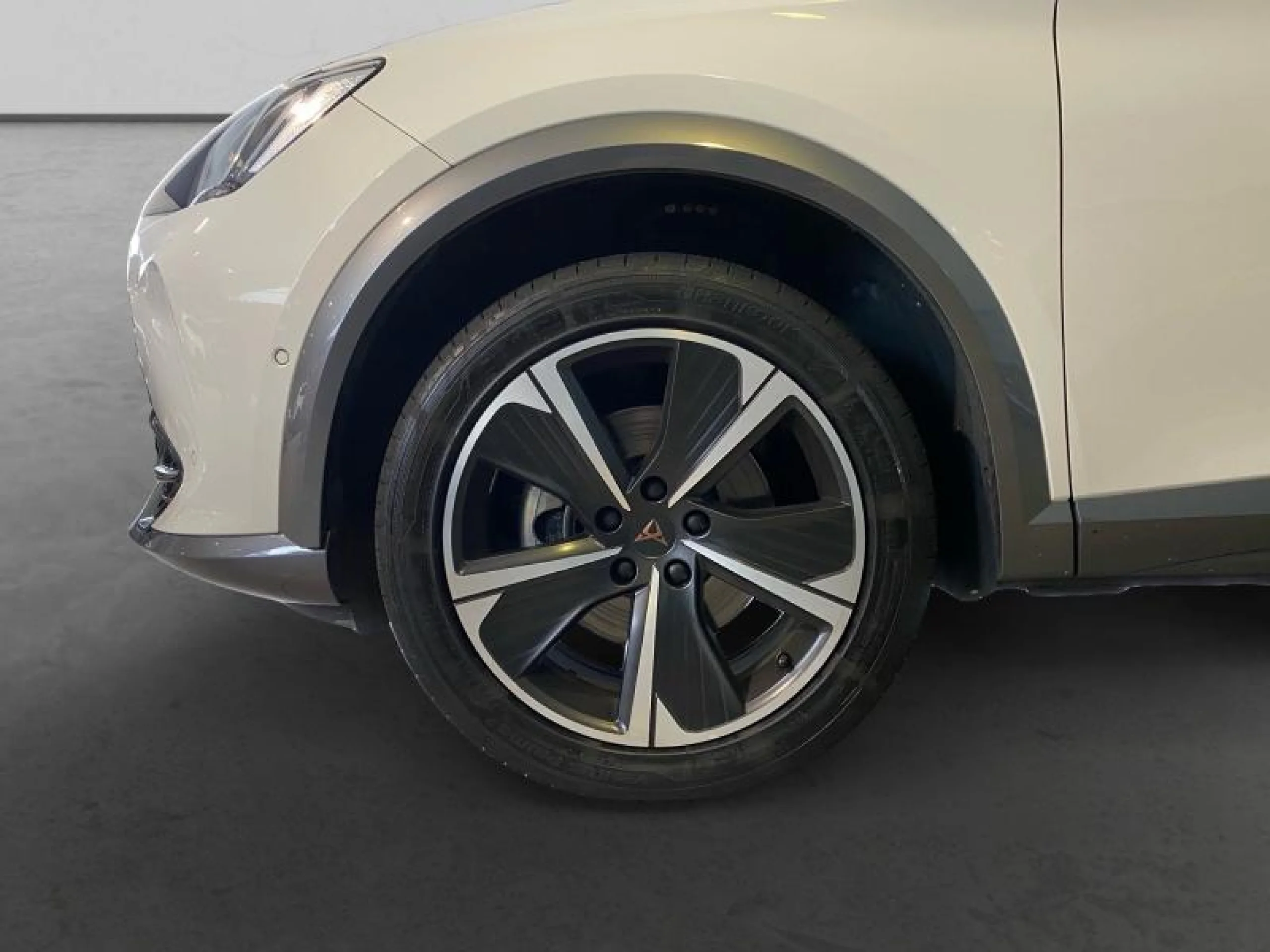 CUPRA FORMENTOR 1.5 TSI 110KW (150 CV) - Foto 6