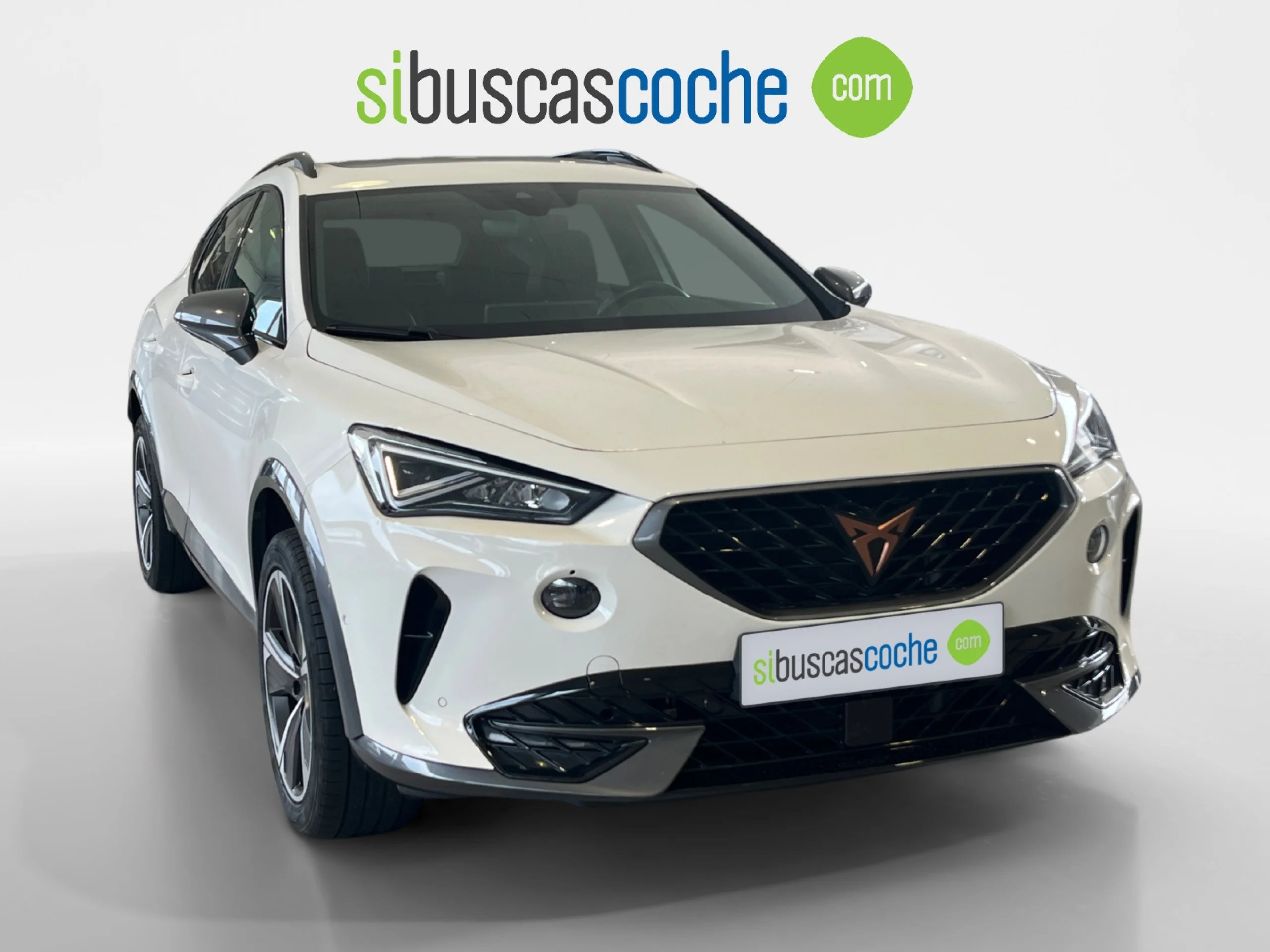 CUPRA FORMENTOR 1.5 TSI 110KW (150 CV) - Foto 1