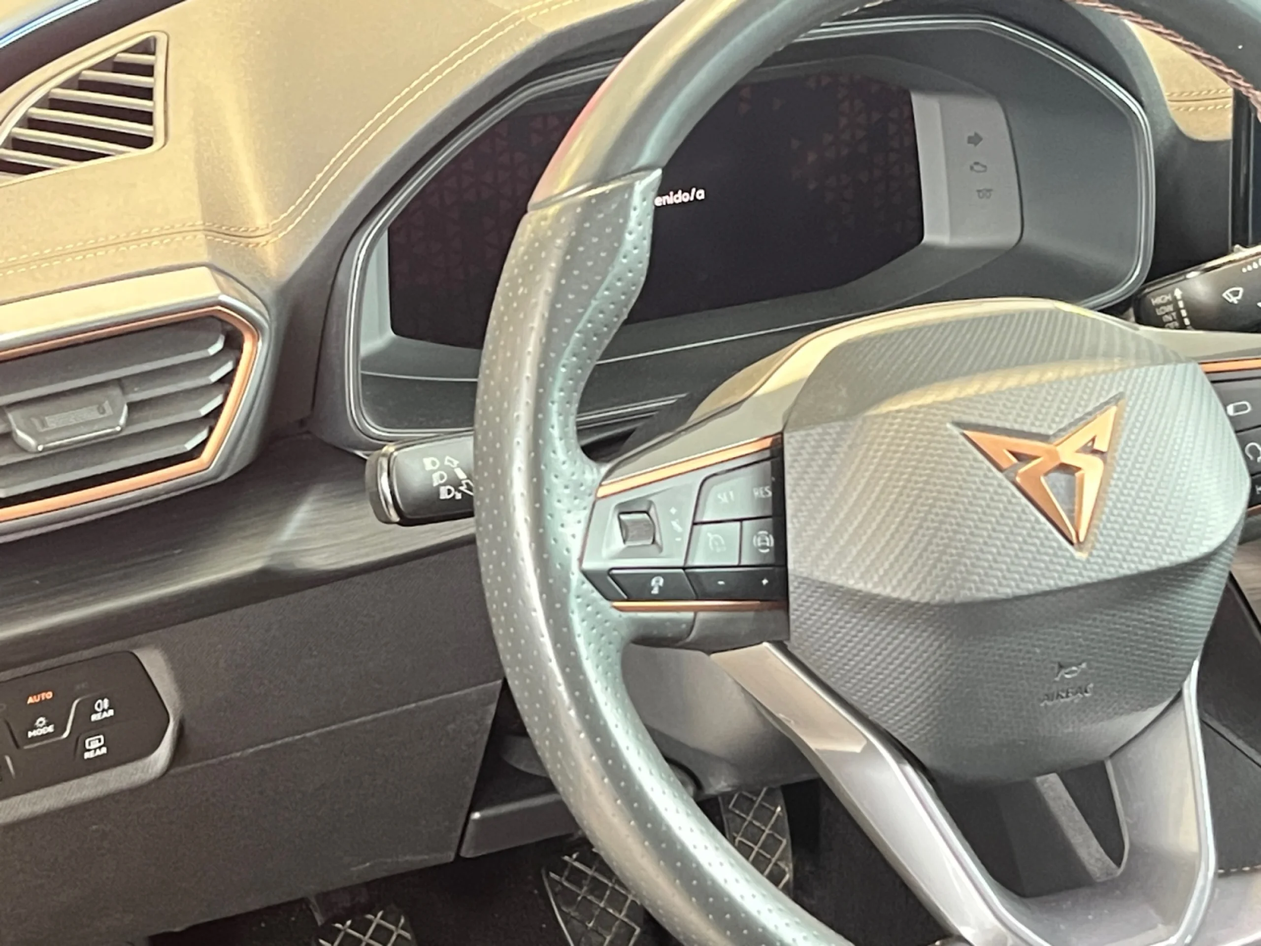 CUPRA FORMENTOR 1.5 TSI 110KW (150 CV) - Foto 11