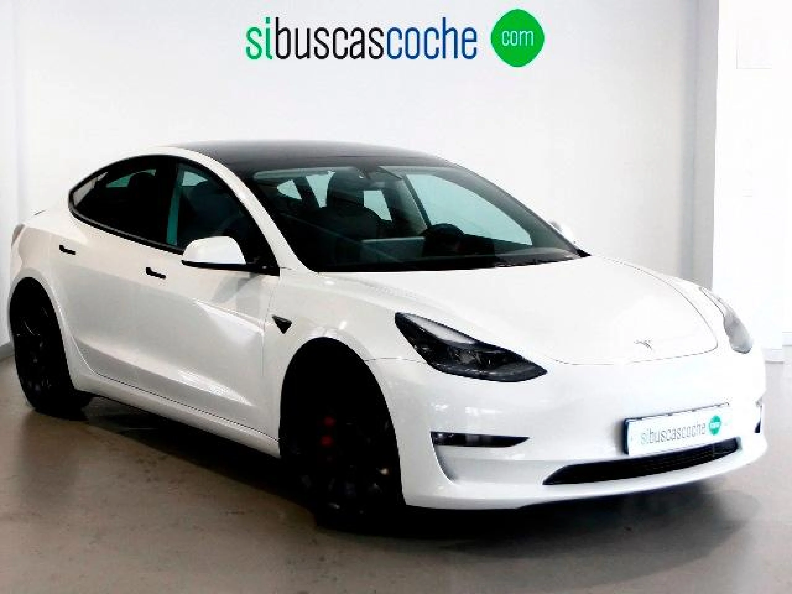 TESLA MODEL 3 PERFORMANCE AWD - Foto 1