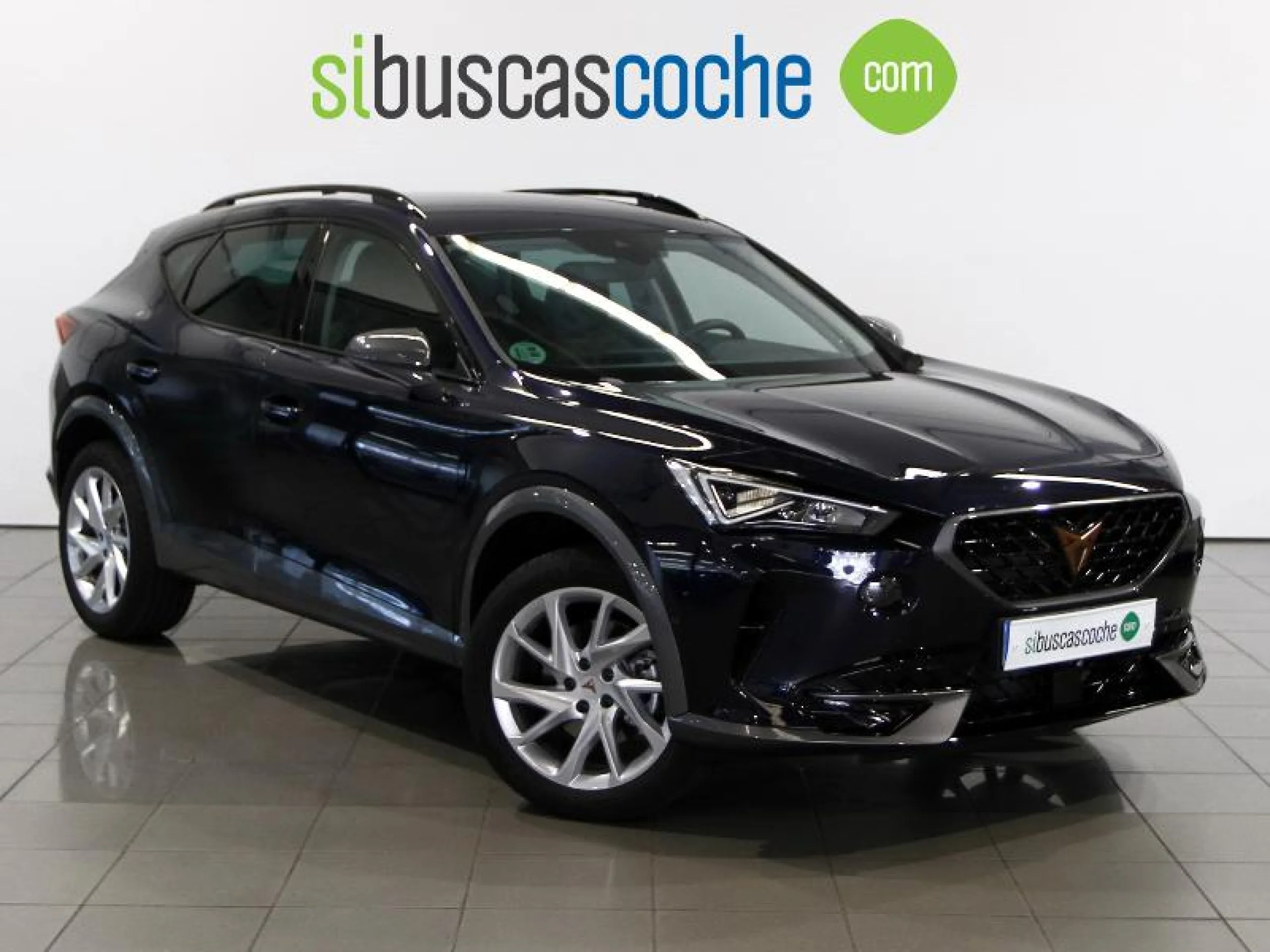 CUPRA FORMENTOR 1.5 TSI 110KW (150 CV) DSG - Foto 1