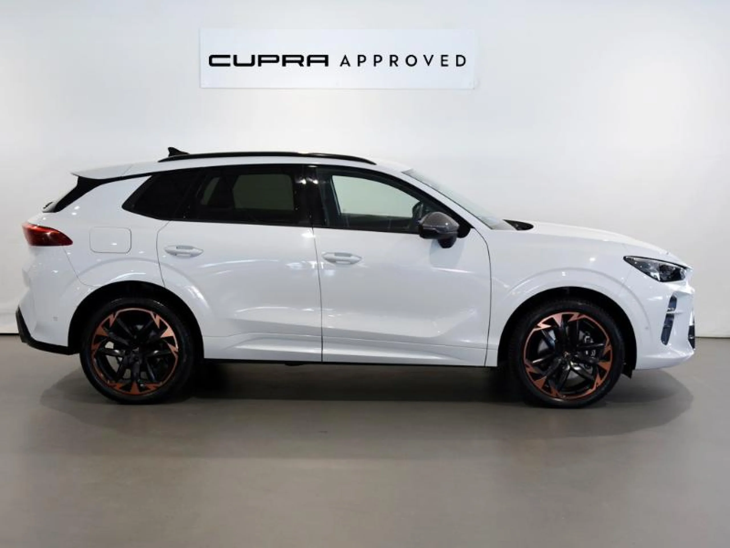 CUPRA TERRAMAR 1.5 TSI E HYBRID 150KW (204 CV) DSG - Foto 3