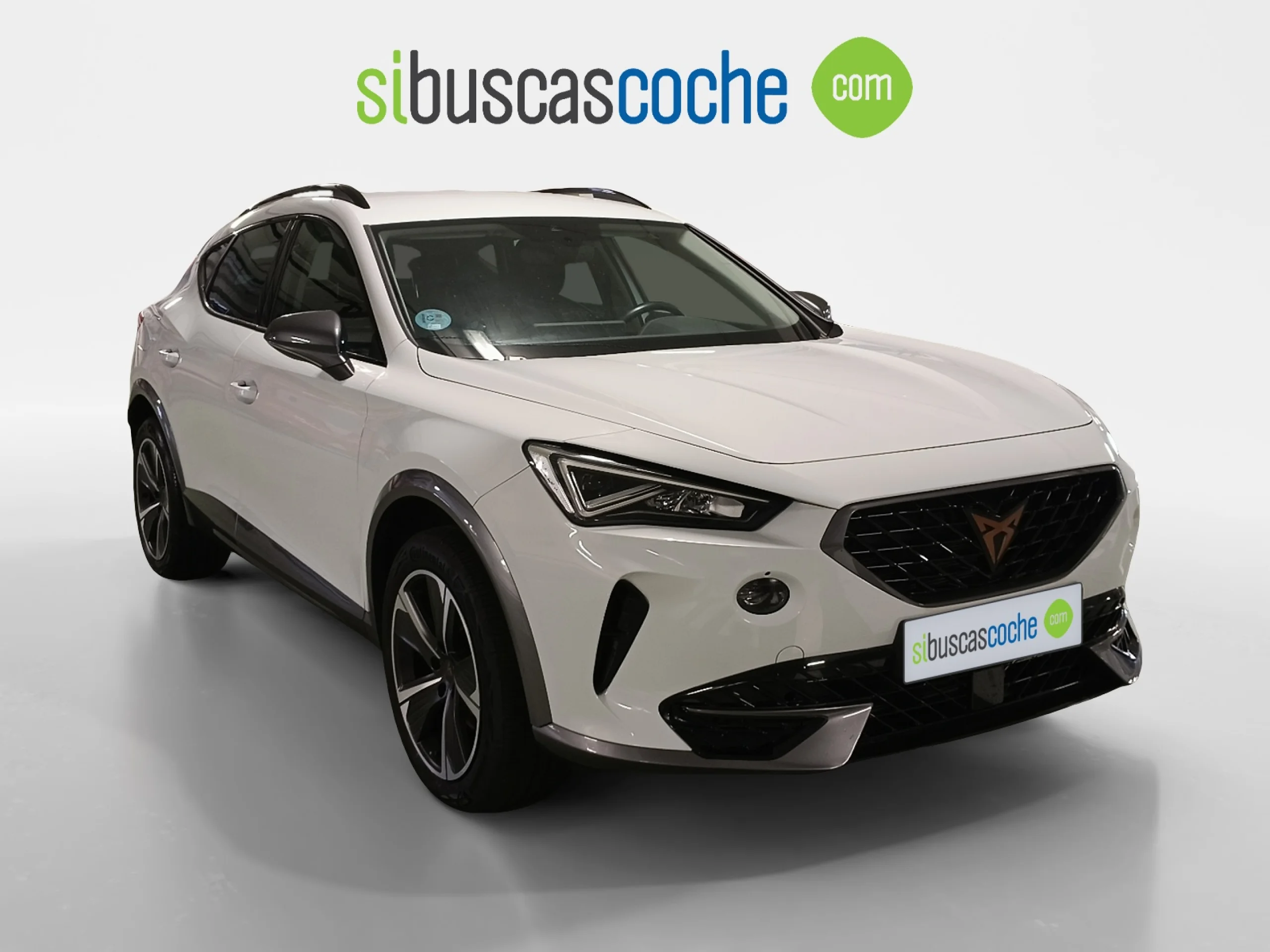 CUPRA FORMENTOR 1.5 TSI 110KW (150 CV) DSG - Foto 1