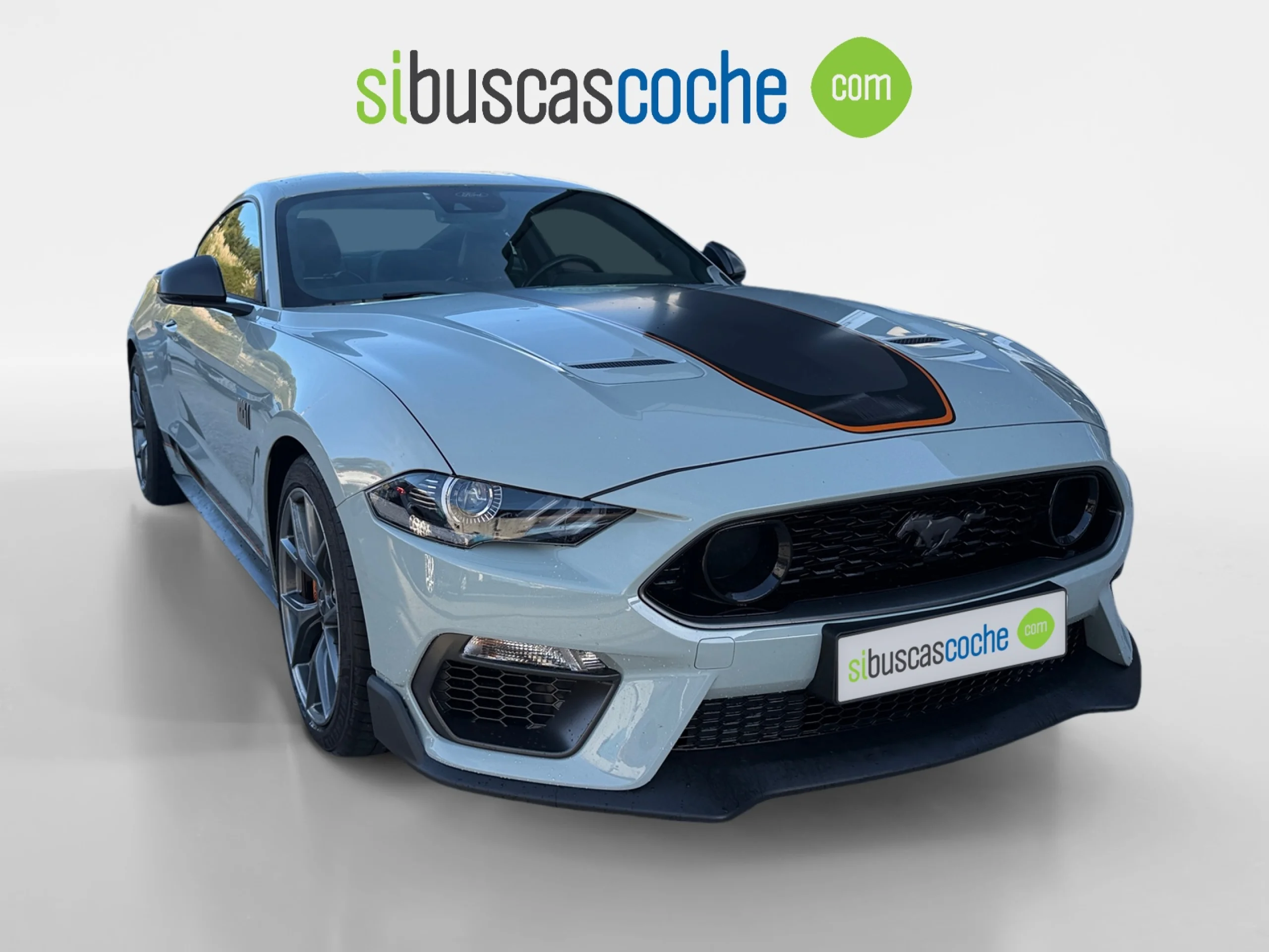 FORD MUSTANG 5.0 TI VCT V8 331KW MUSTANG GT (FASTB.) - Foto 1