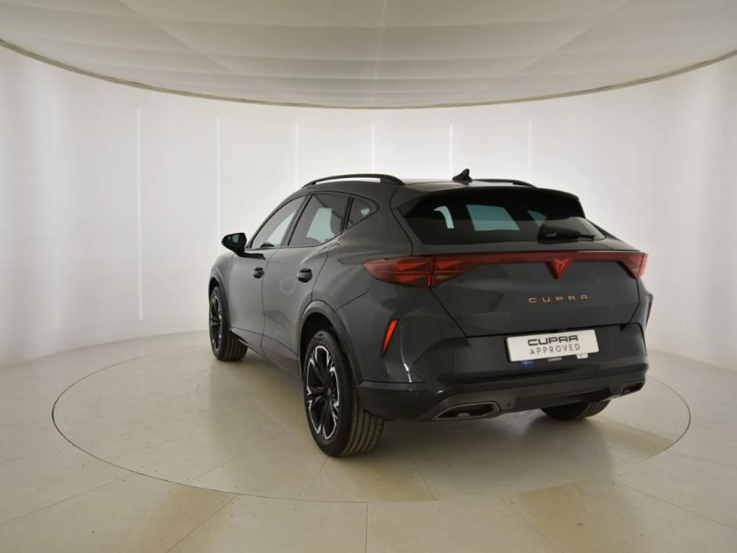 CUPRA FORMENTOR 2.0 TDI 110KW (150 CV) DSG - Foto 2