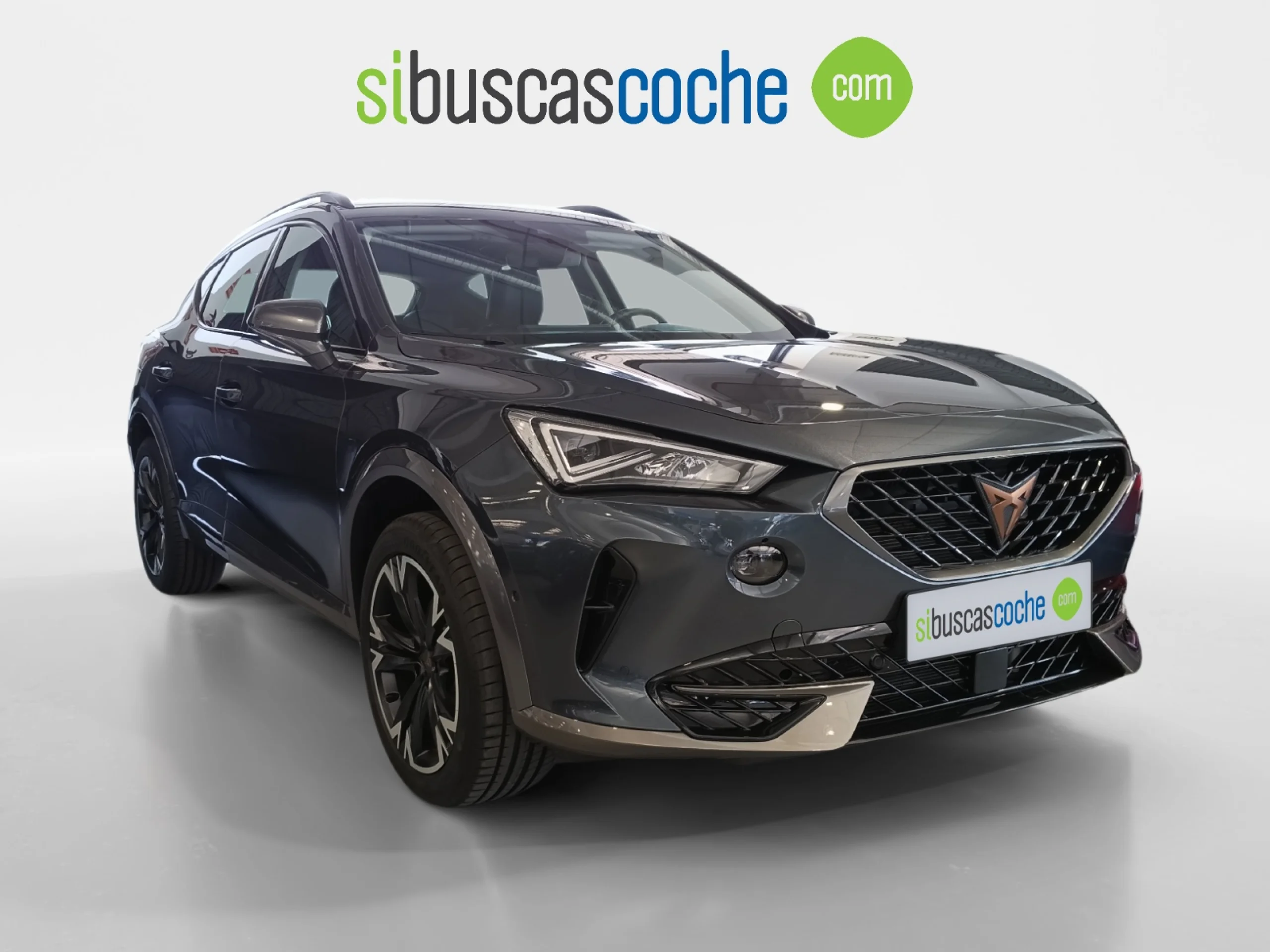 CUPRA FORMENTOR 2.0 TDI 110KW (150 CV) - Foto 1
