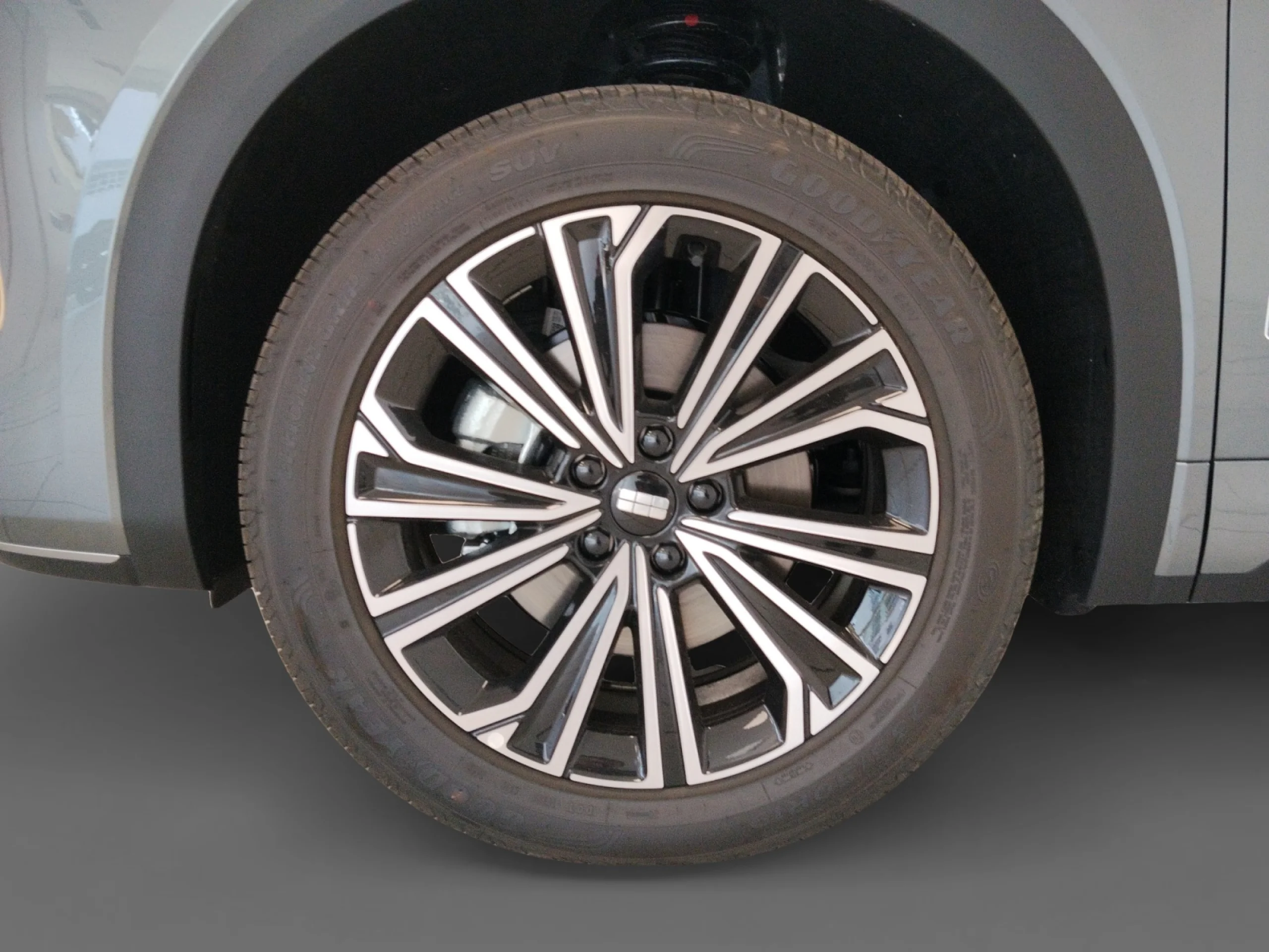GEELY STARRAY EM I STARRAY MAX+ - Foto 9