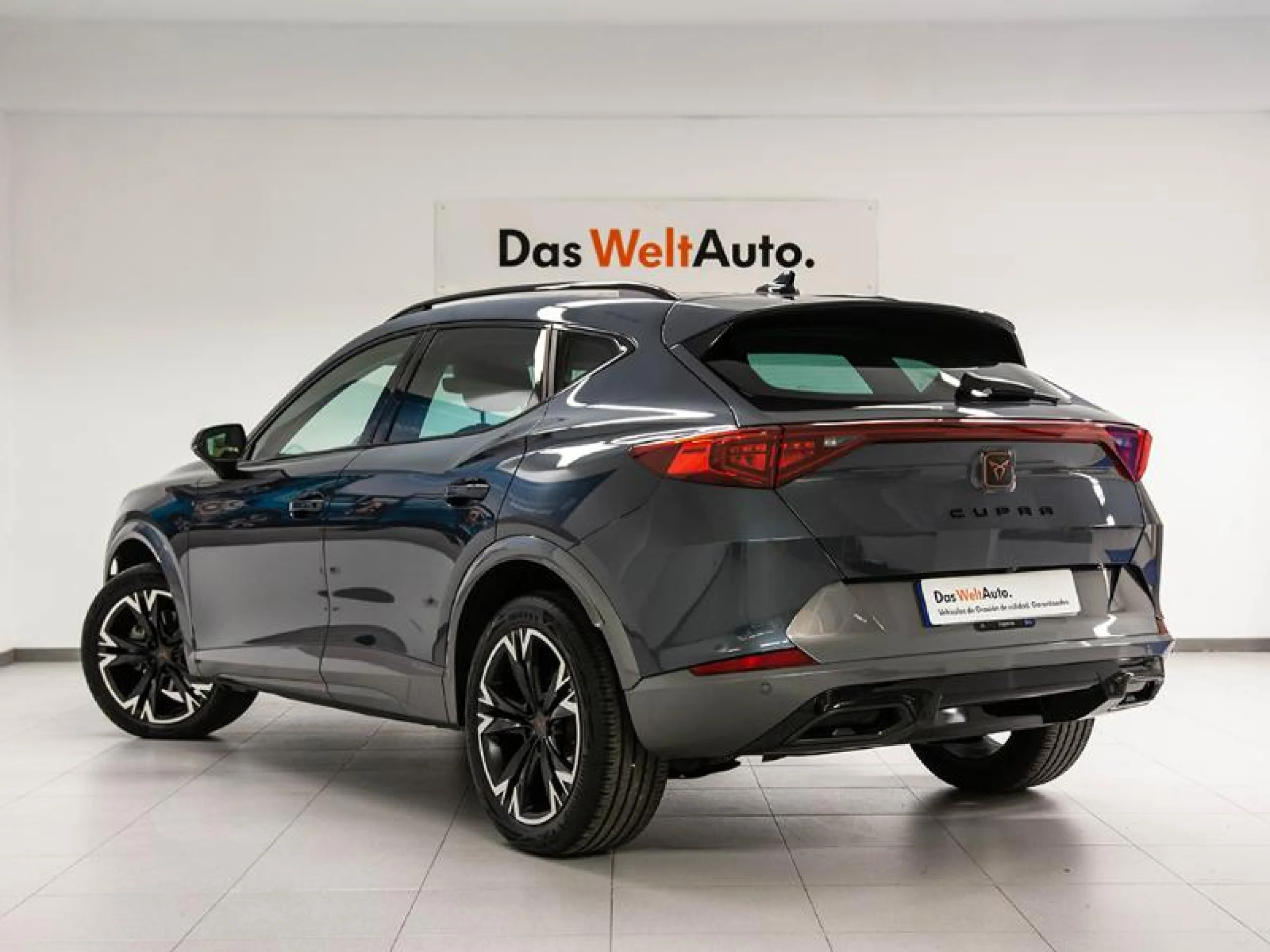CUPRA FORMENTOR 1.5 TSI 110KW (150 CV) DSG - Foto 2