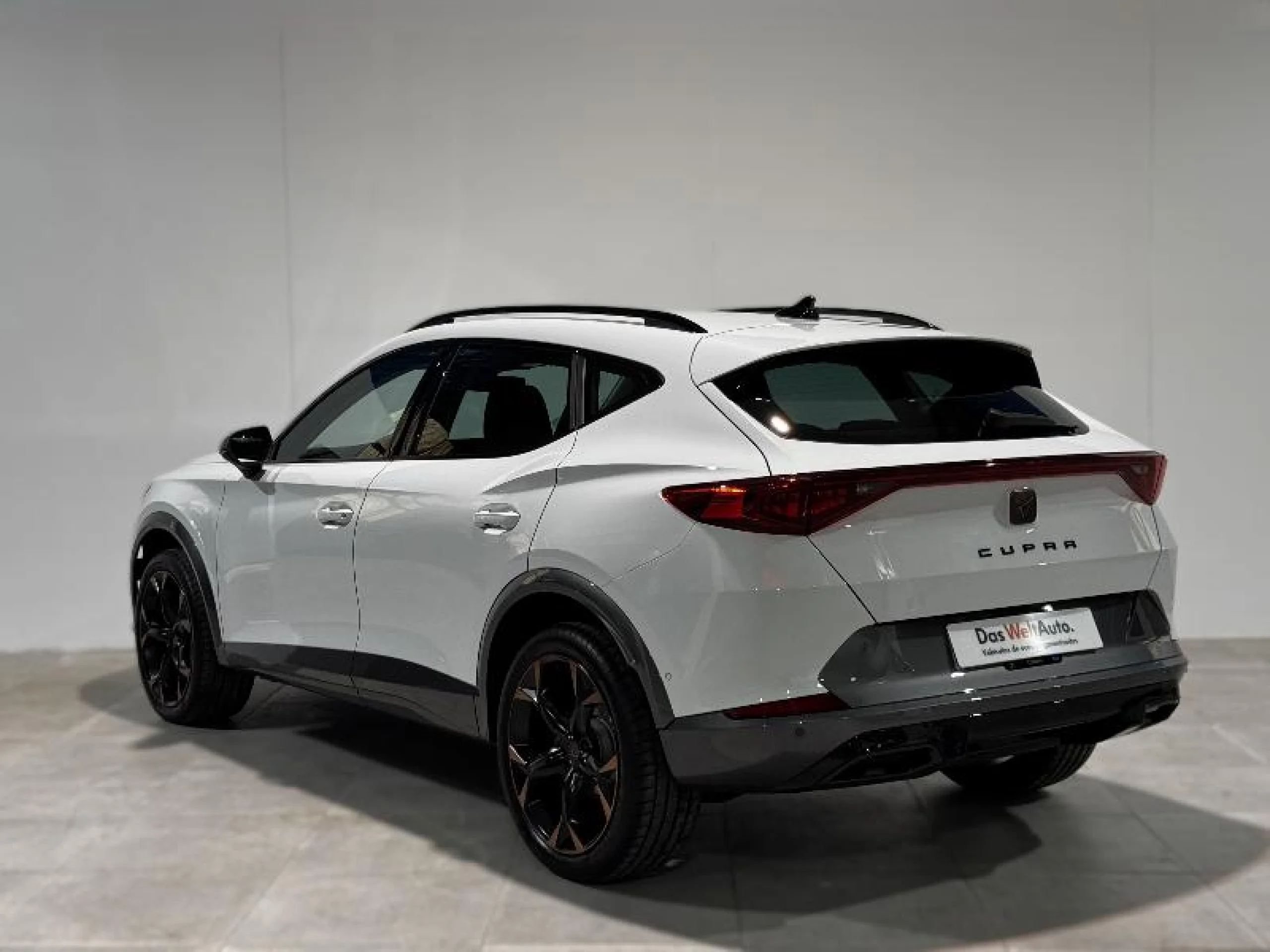 CUPRA FORMENTOR 1.5 TSI 110KW (150 CV) - Foto 2