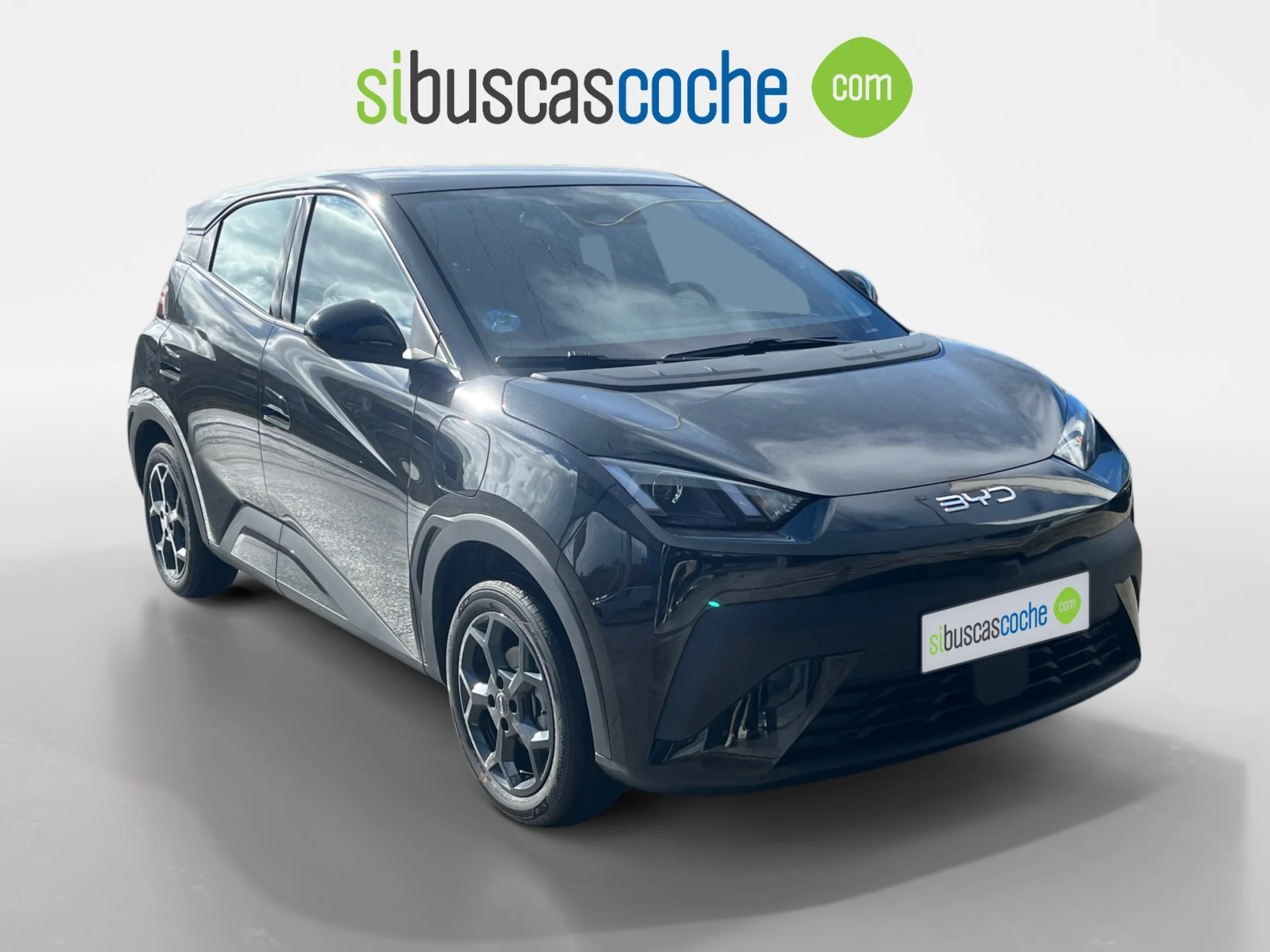 BYD DOLPHIN SURF BOOST - Foto 1