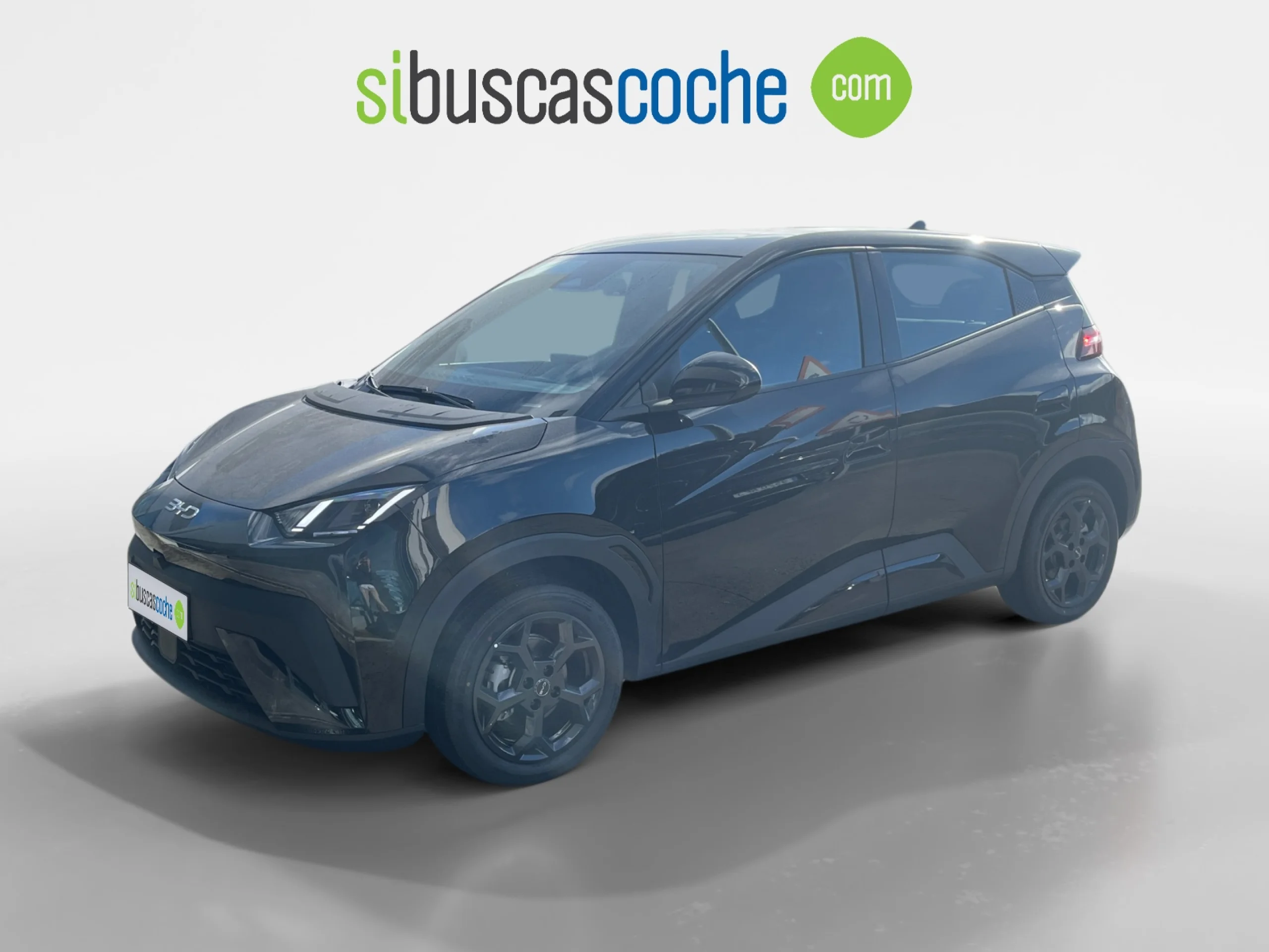 BYD DOLPHIN SURF BOOST - Foto 16