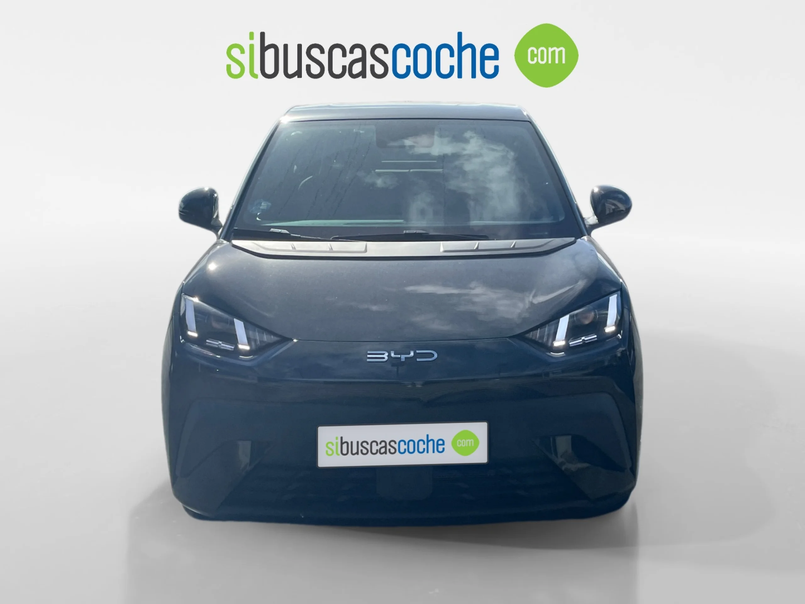 BYD DOLPHIN SURF BOOST - Foto 17