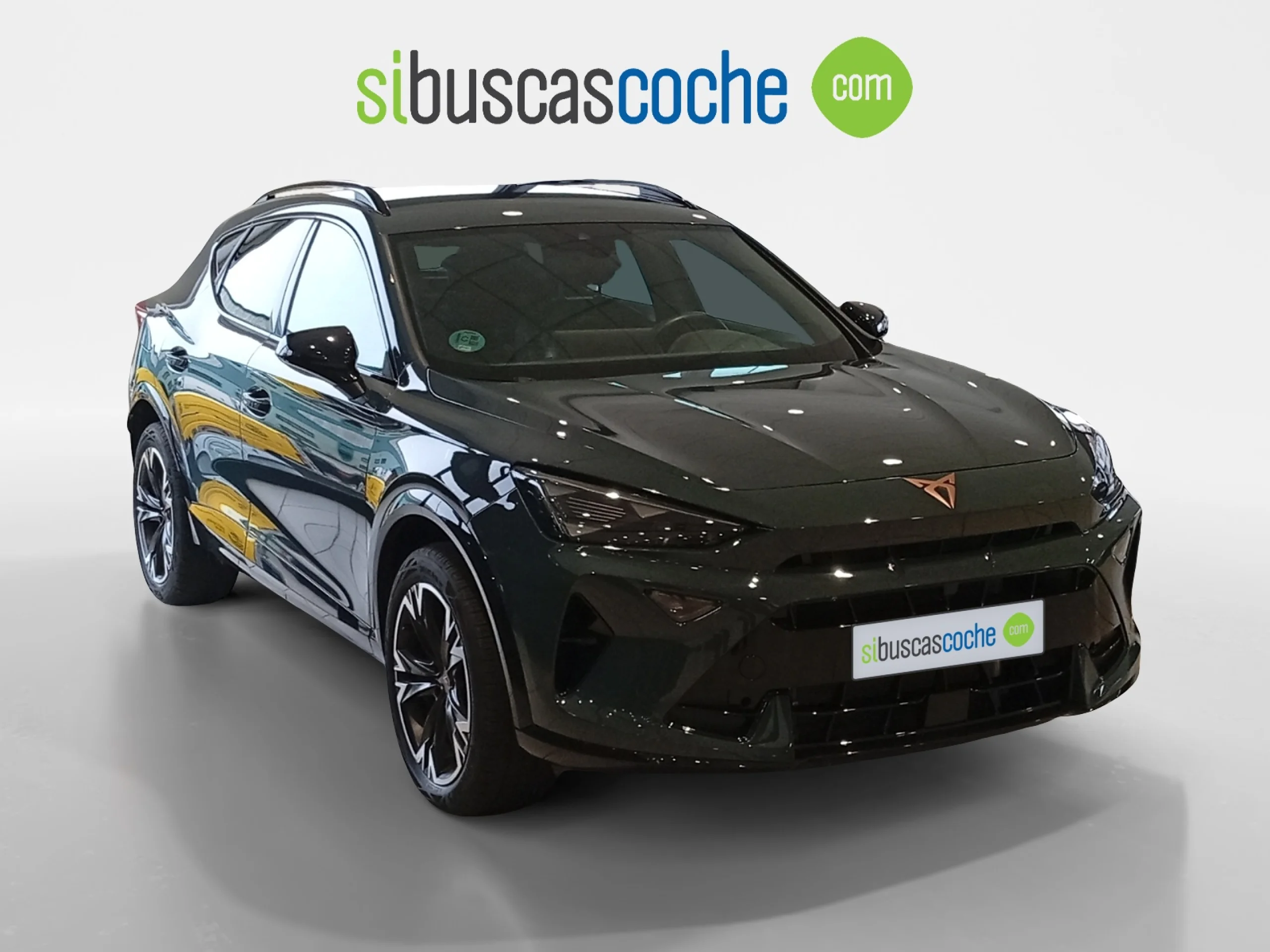 CUPRA FORMENTOR 2.0 TDI 110KW (150 CV) DSG - Foto 1