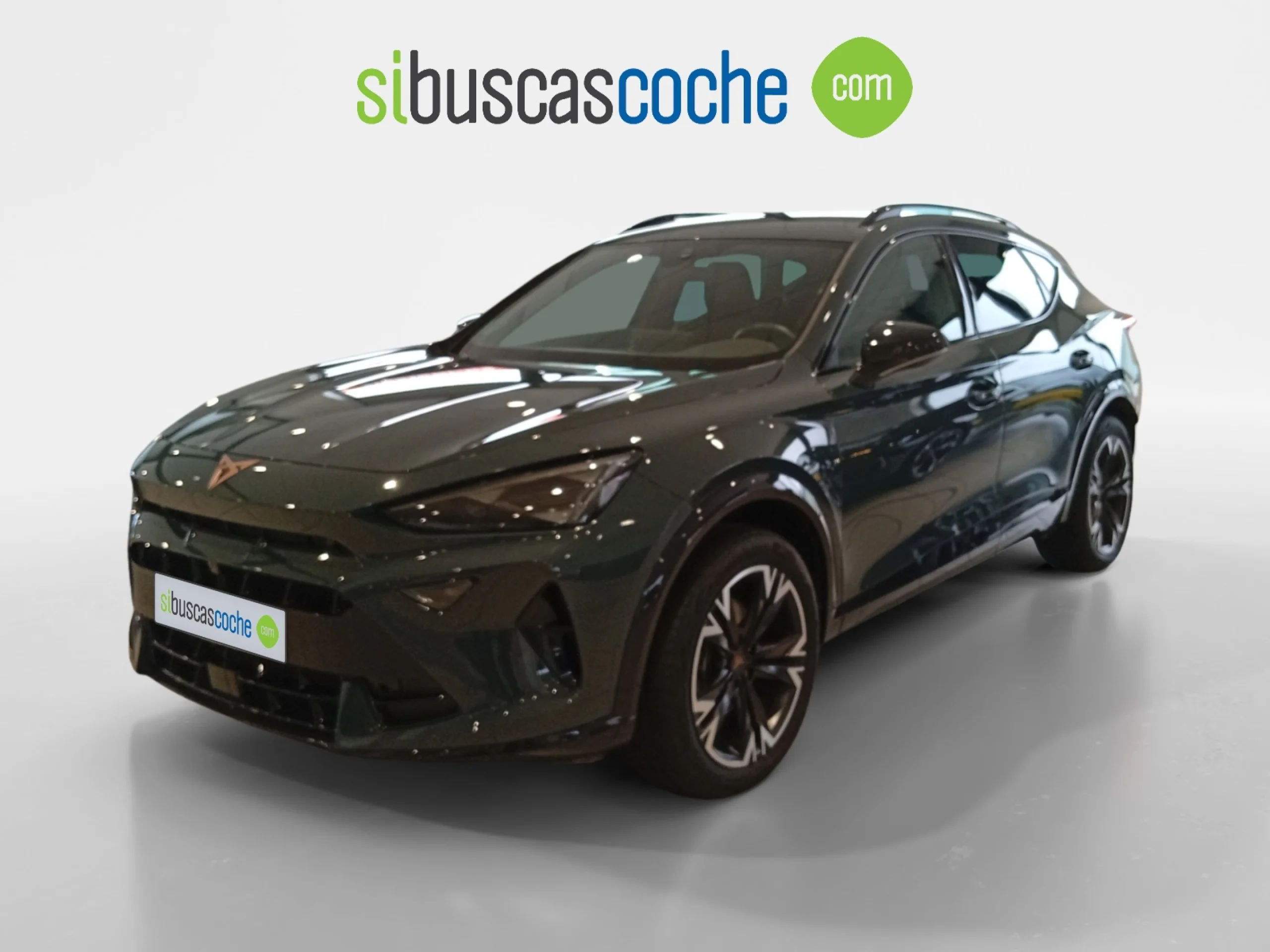 CUPRA FORMENTOR 2.0 TDI 110KW (150 CV) DSG - Foto 15