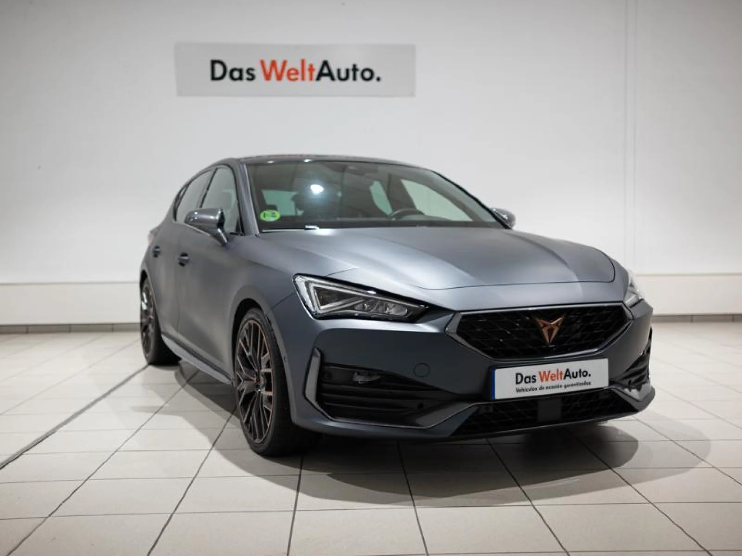 CUPRA LEON 2.0 TSI 180KW (245 CV) DSG - Foto 1