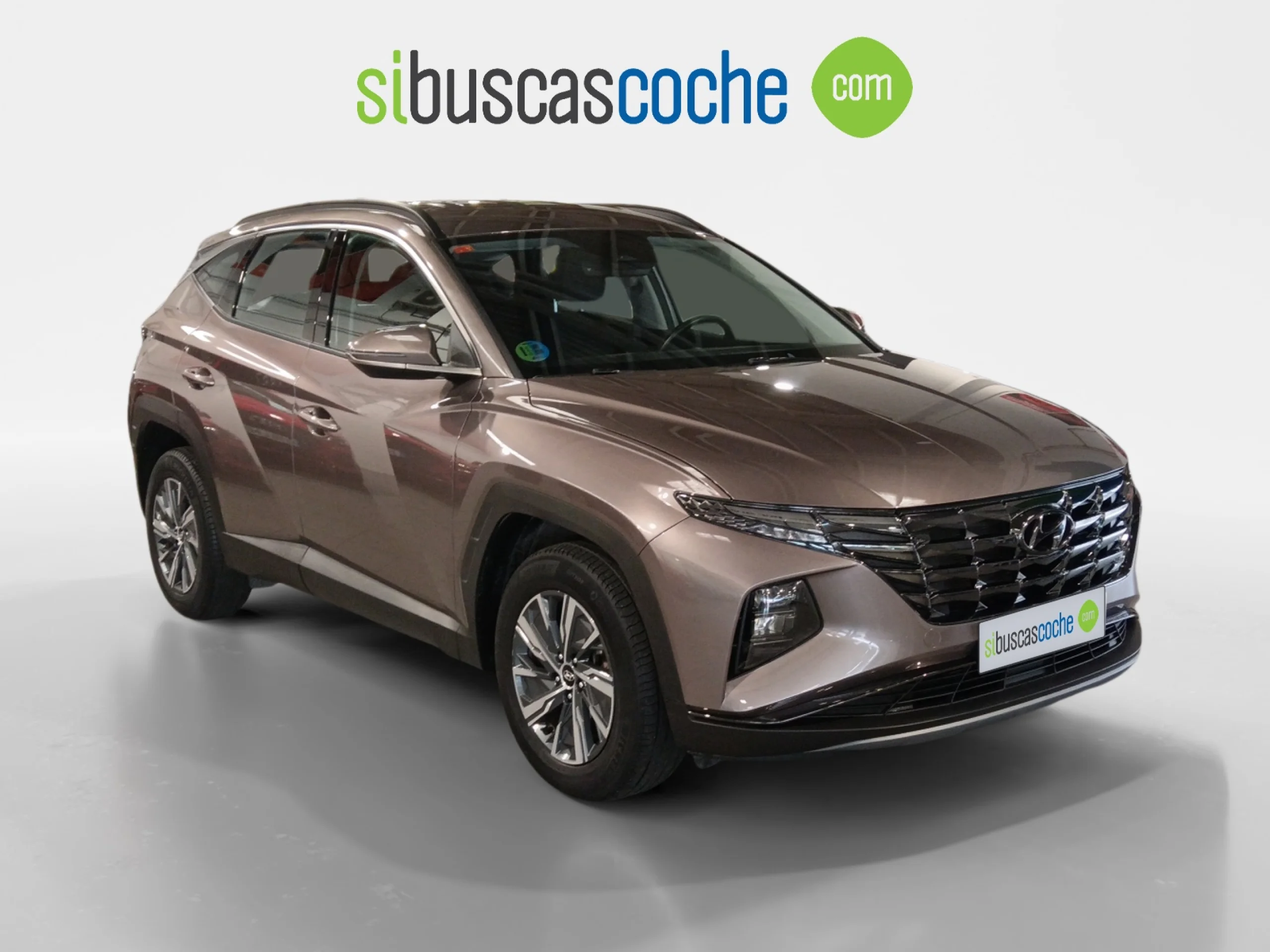 HYUNDAI TUCSON 1.6 TGDI 169KW (230CV) HEV MAXX AUTO - Foto 1