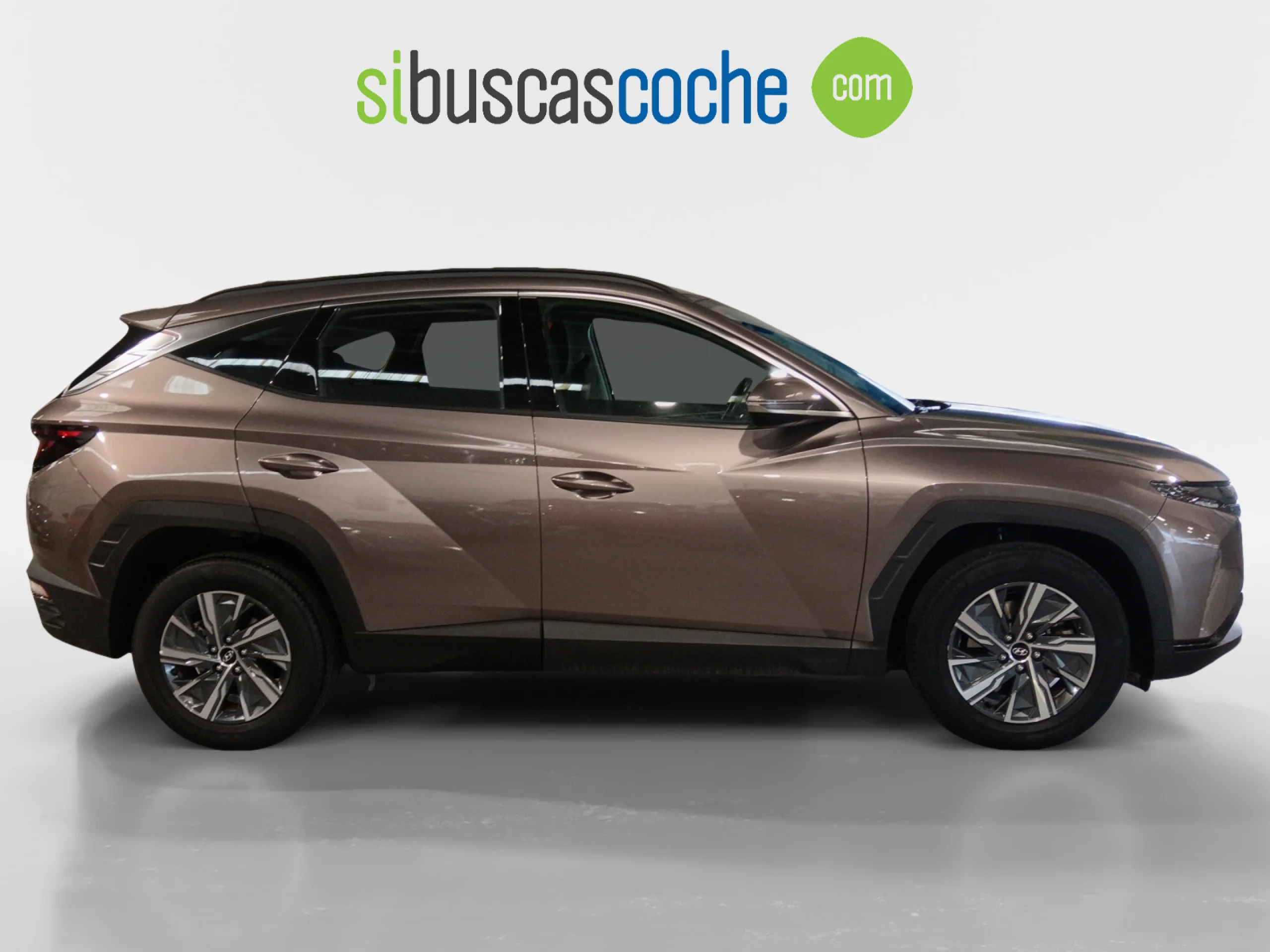 HYUNDAI TUCSON 1.6 TGDI 169KW (230CV) HEV MAXX AUTO - Foto 3
