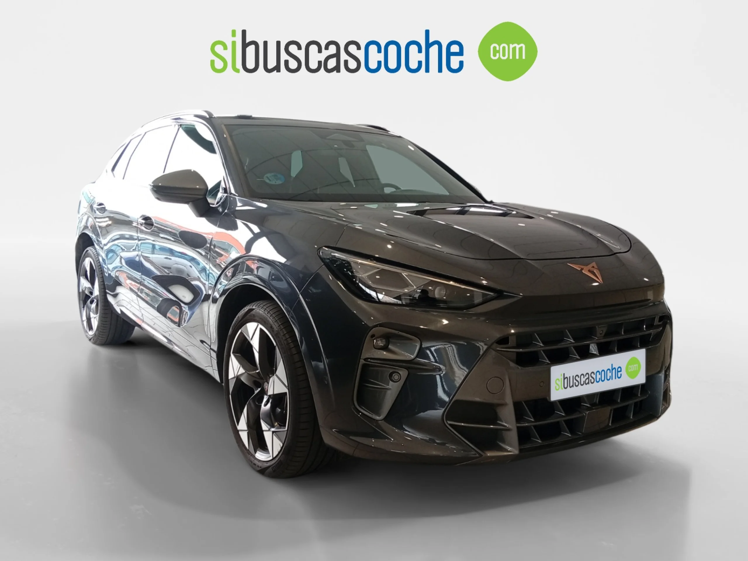 CUPRA TERRAMAR 1.5 ETSI 110KW (150 CV) DSG - Foto 1