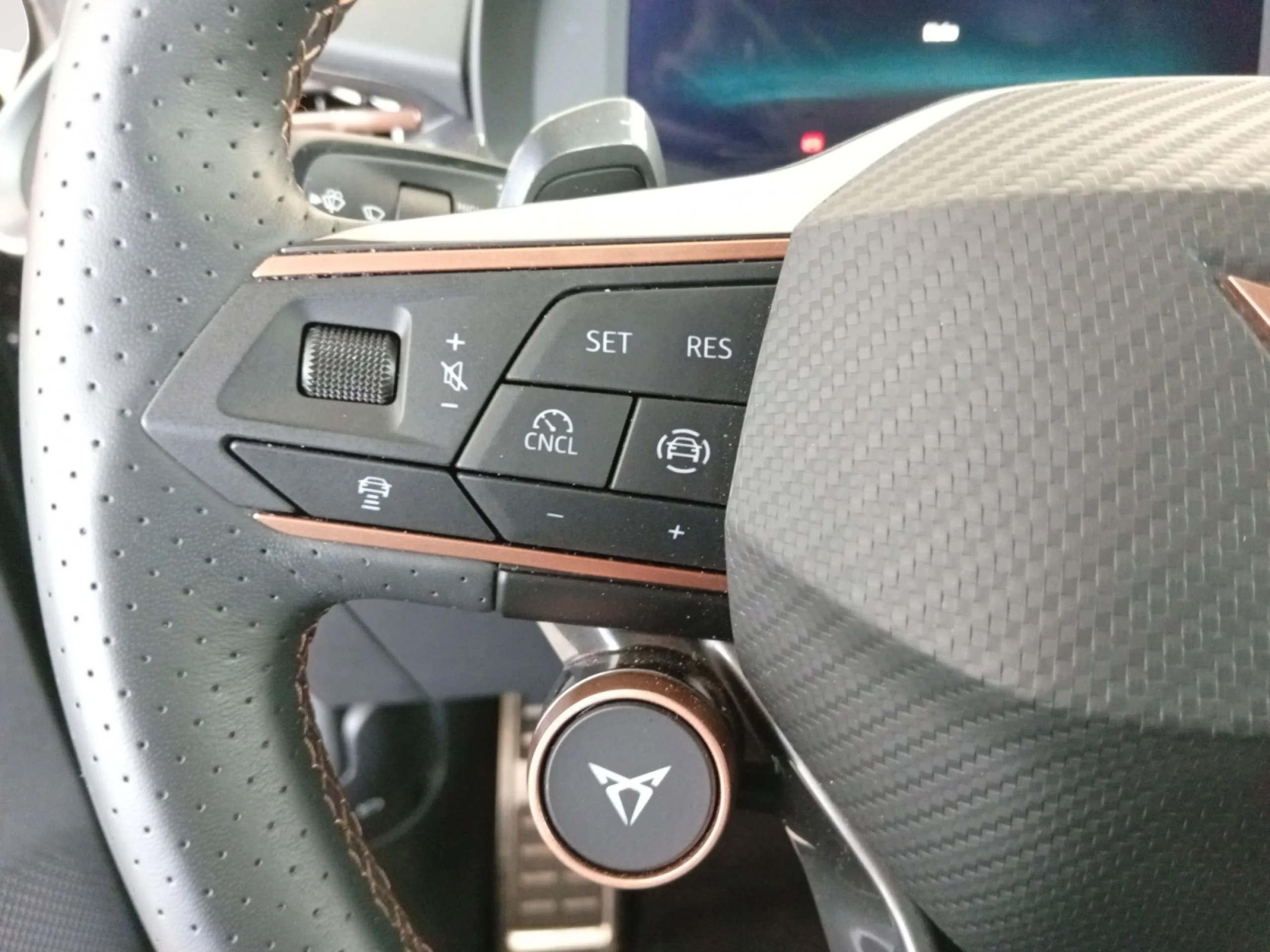 CUPRA TERRAMAR 1.5 ETSI 110KW (150 CV) DSG - Foto 11