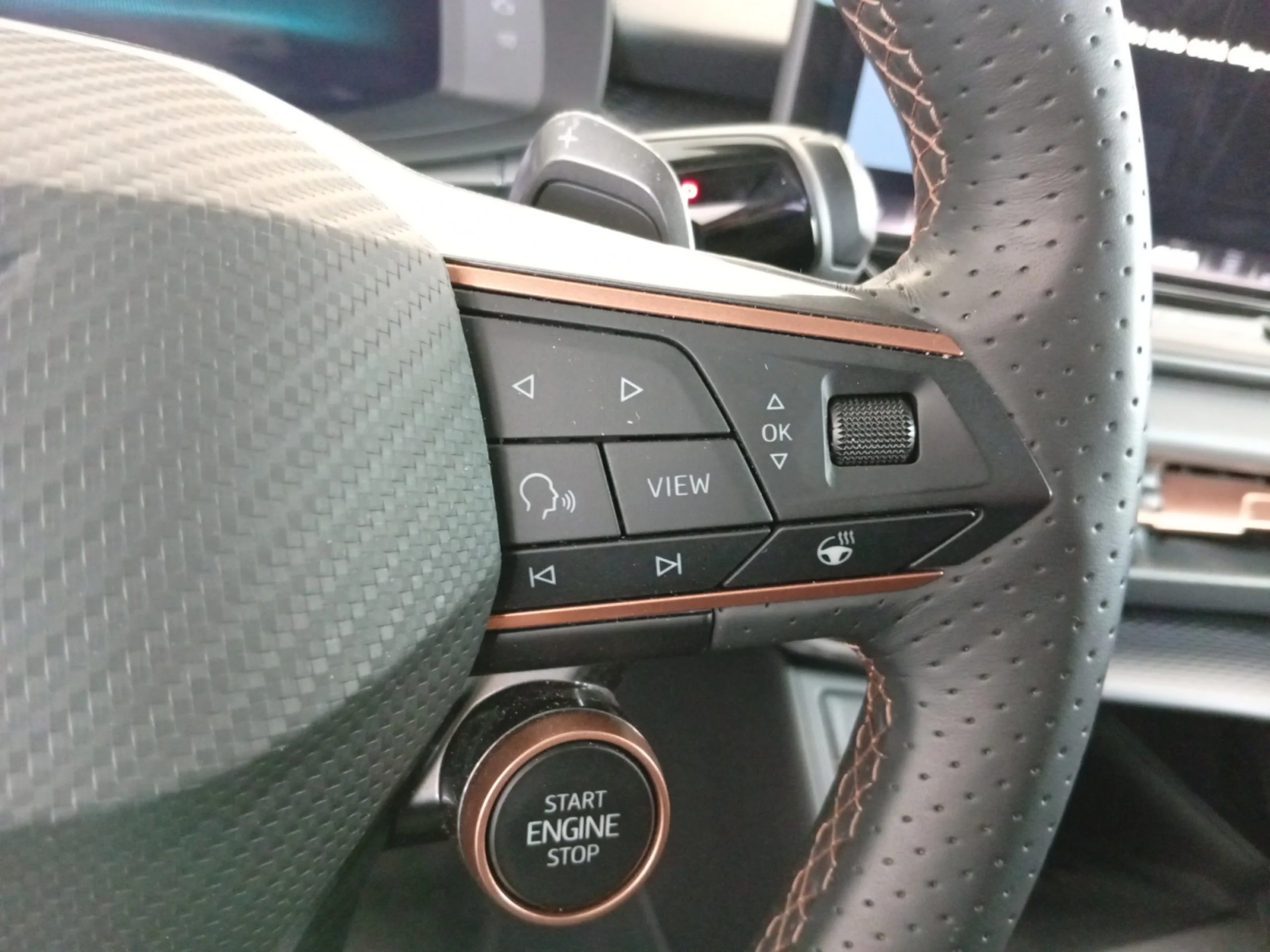 CUPRA TERRAMAR 1.5 ETSI 110KW (150 CV) DSG - Foto 12