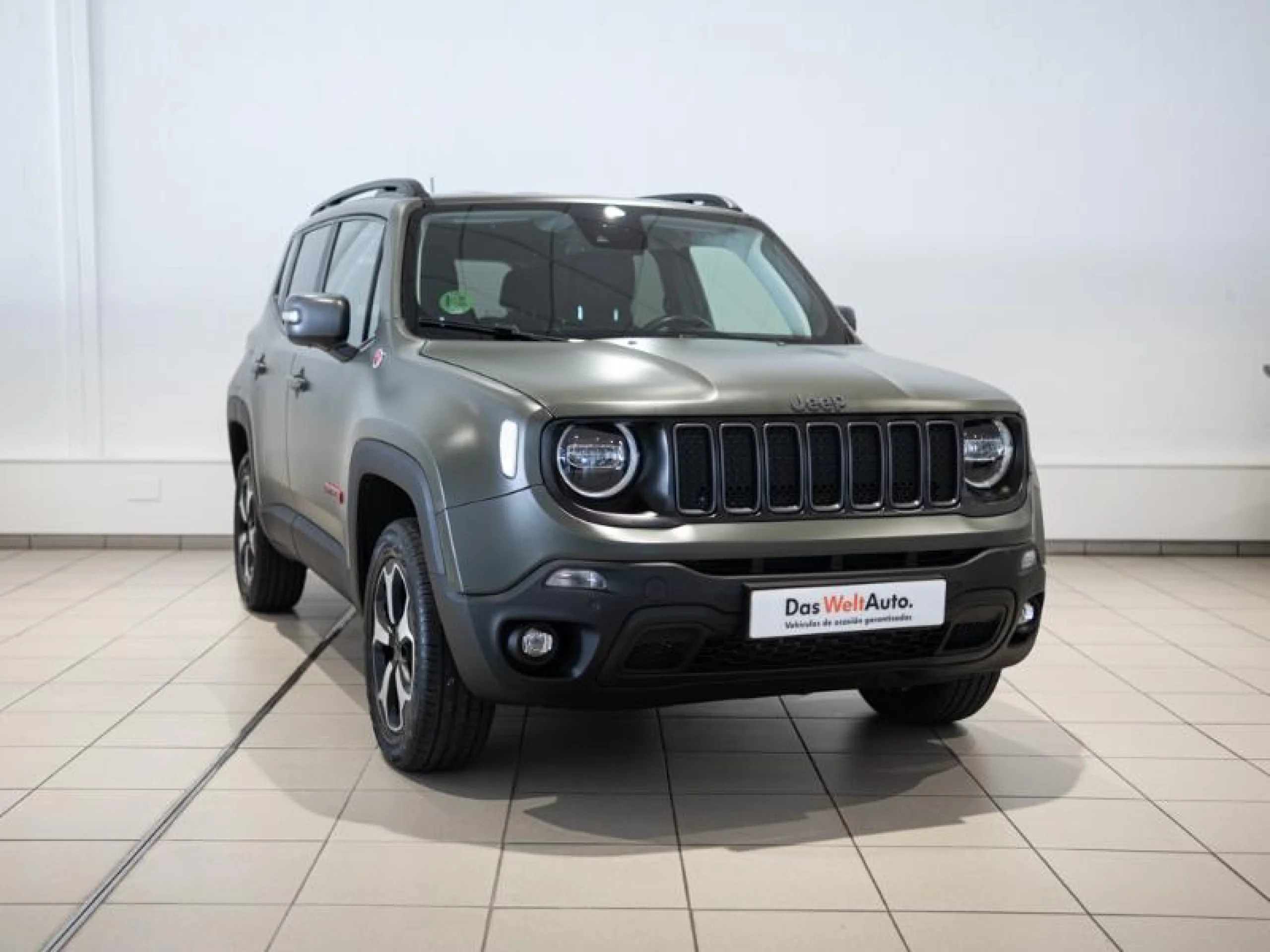 JEEP RENEGADE 2.0 MJET TRAILHAWK 4X4 125KW AUTO AD LOW - Foto 1