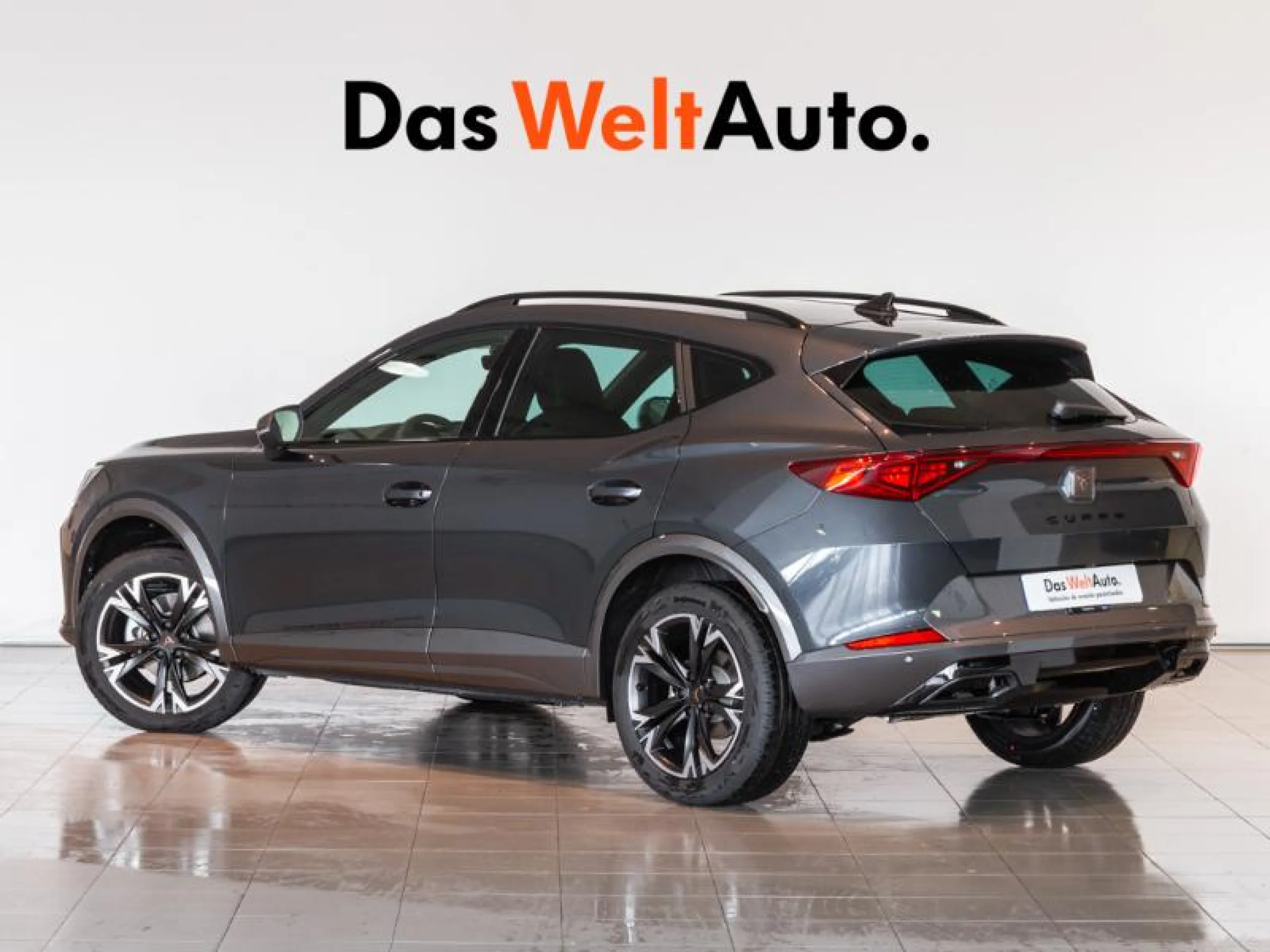 CUPRA FORMENTOR 1.5 TSI 110KW (150 CV) DSG - Foto 2