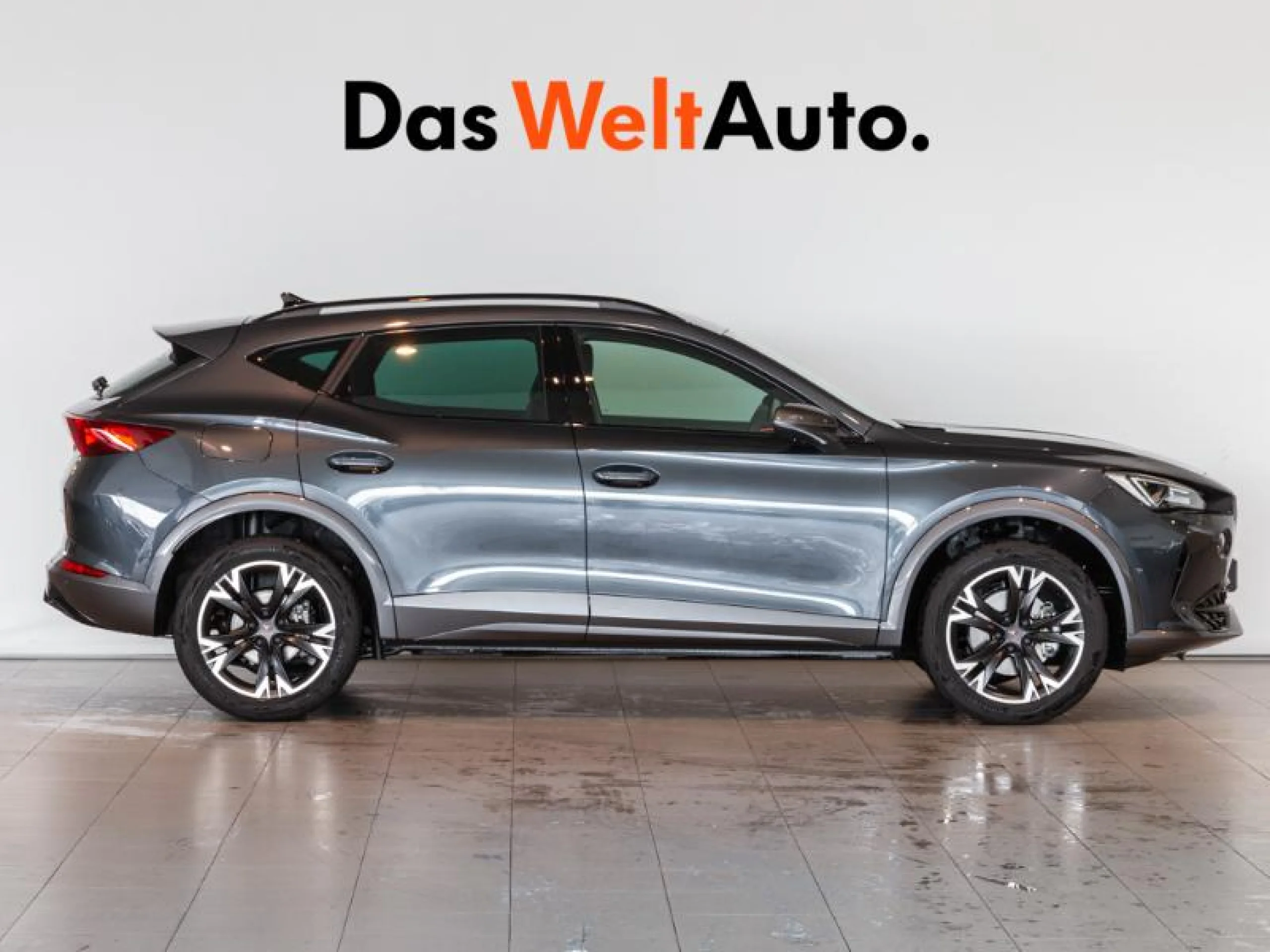 CUPRA FORMENTOR 1.5 TSI 110KW (150 CV) DSG - Foto 3