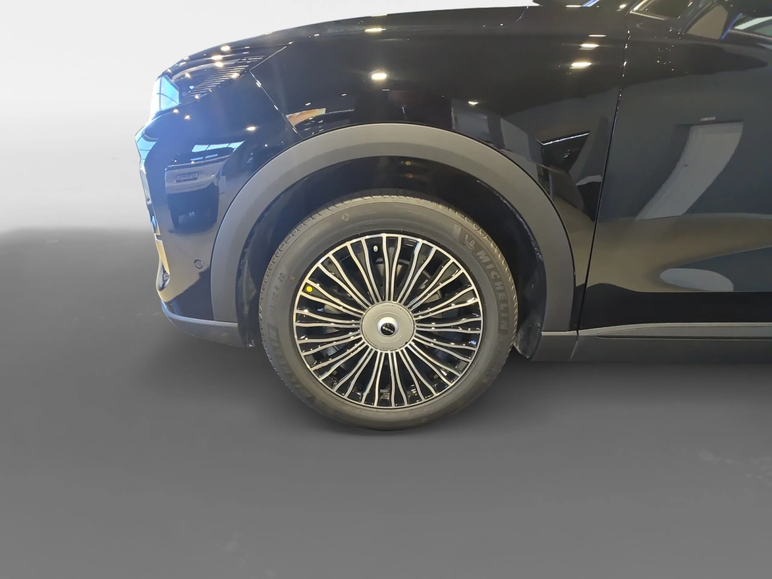 EBRO S900 S900 PHEV 1.5 TGDI LUXURY - Foto 10