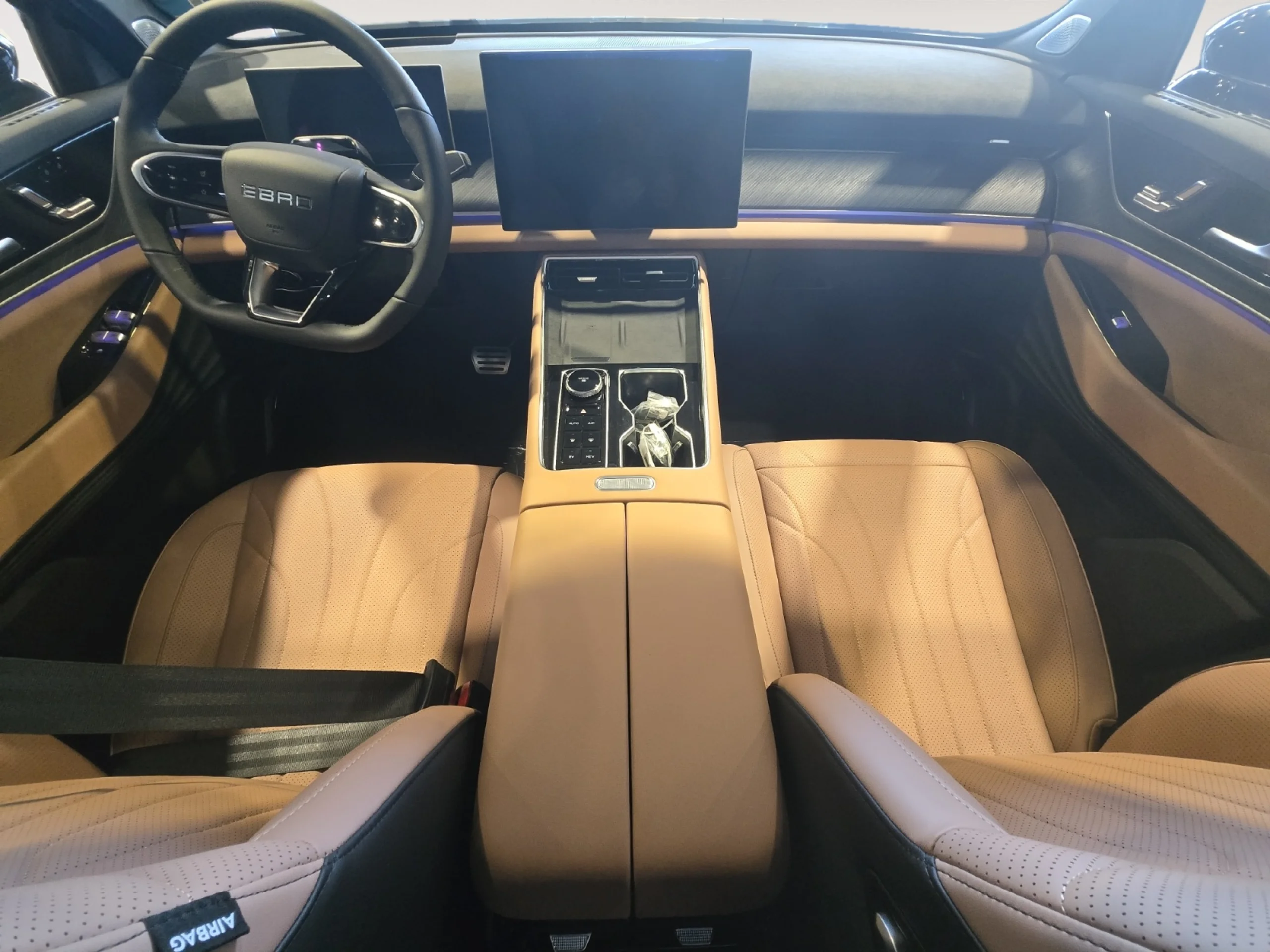 EBRO S900 S900 PHEV 1.5 TGDI LUXURY - Foto 15