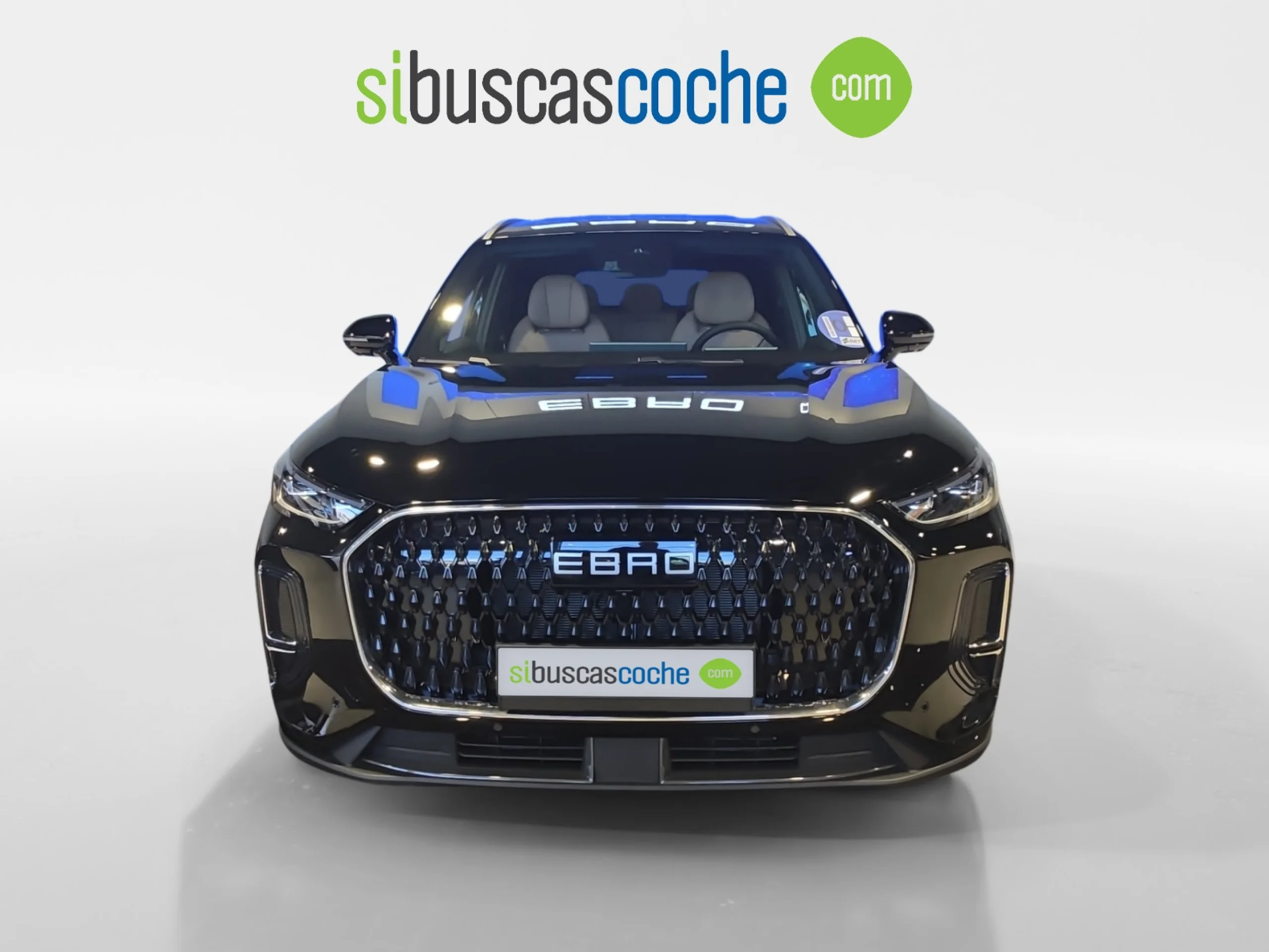 EBRO S900 S900 PHEV 1.5 TGDI LUXURY - Foto 21