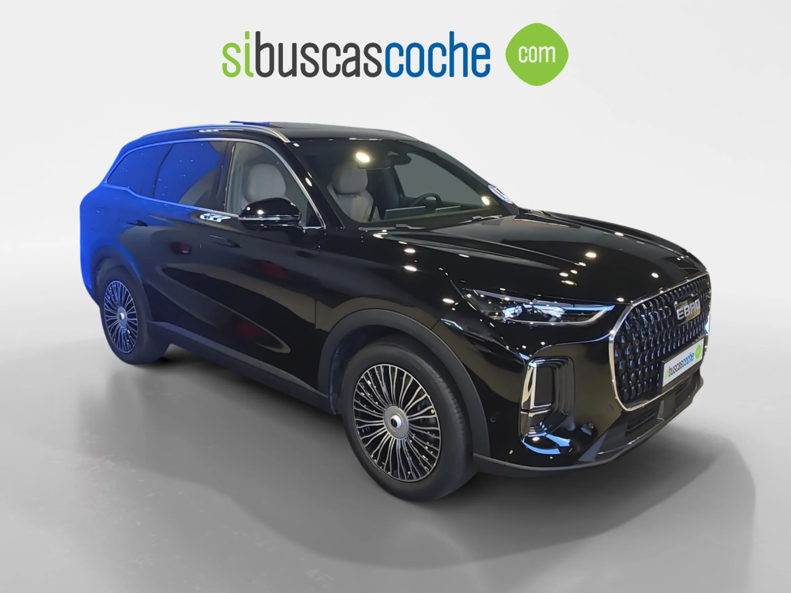 EBRO S900 S900 PHEV 1.5 TGDI LUXURY - Foto 1
