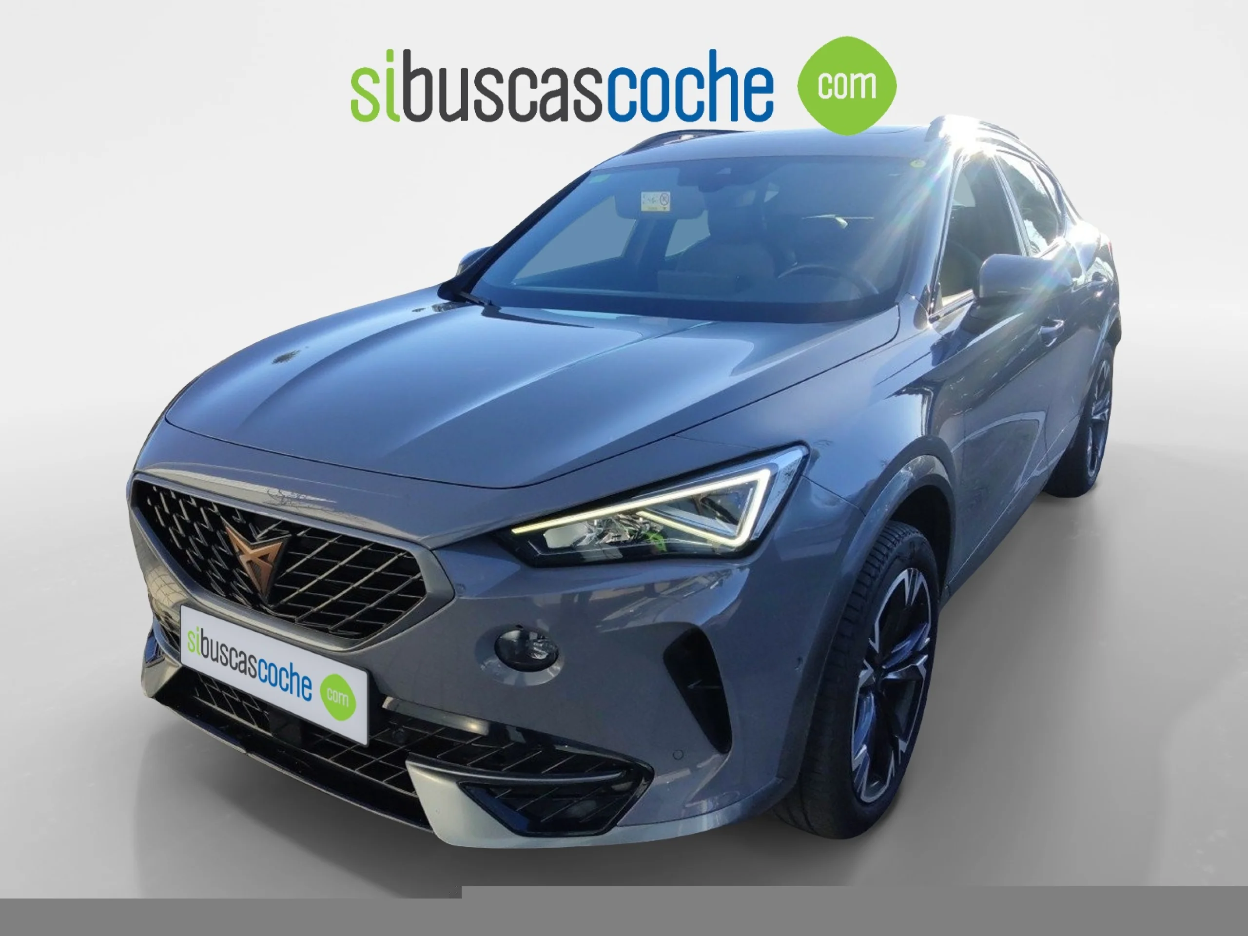 CUPRA FORMENTOR 2.0 TDI 110KW (150 CV) - Foto 1